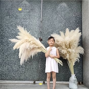 Amazon｜WJW 自然乾燥パンパスグラス ドライフラワー 造花 47