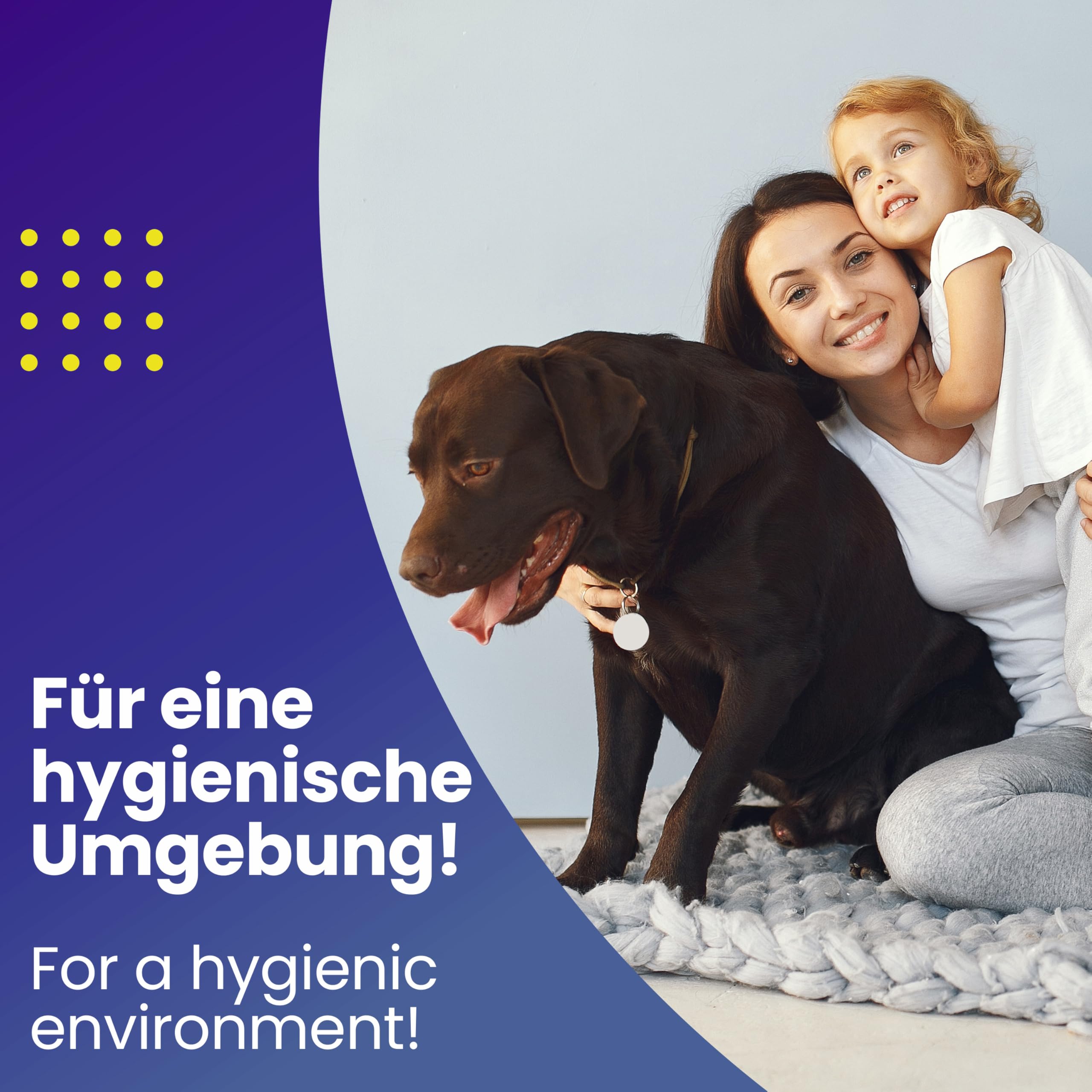 Mr. Perfect Anti-Giardien Wischkonzentrat 5L I Hocheffektives Giardien Desinfektionsmittel für alle Oberflächen I Schonendes Desinfektionsmittel für Giardien für den Haushalt