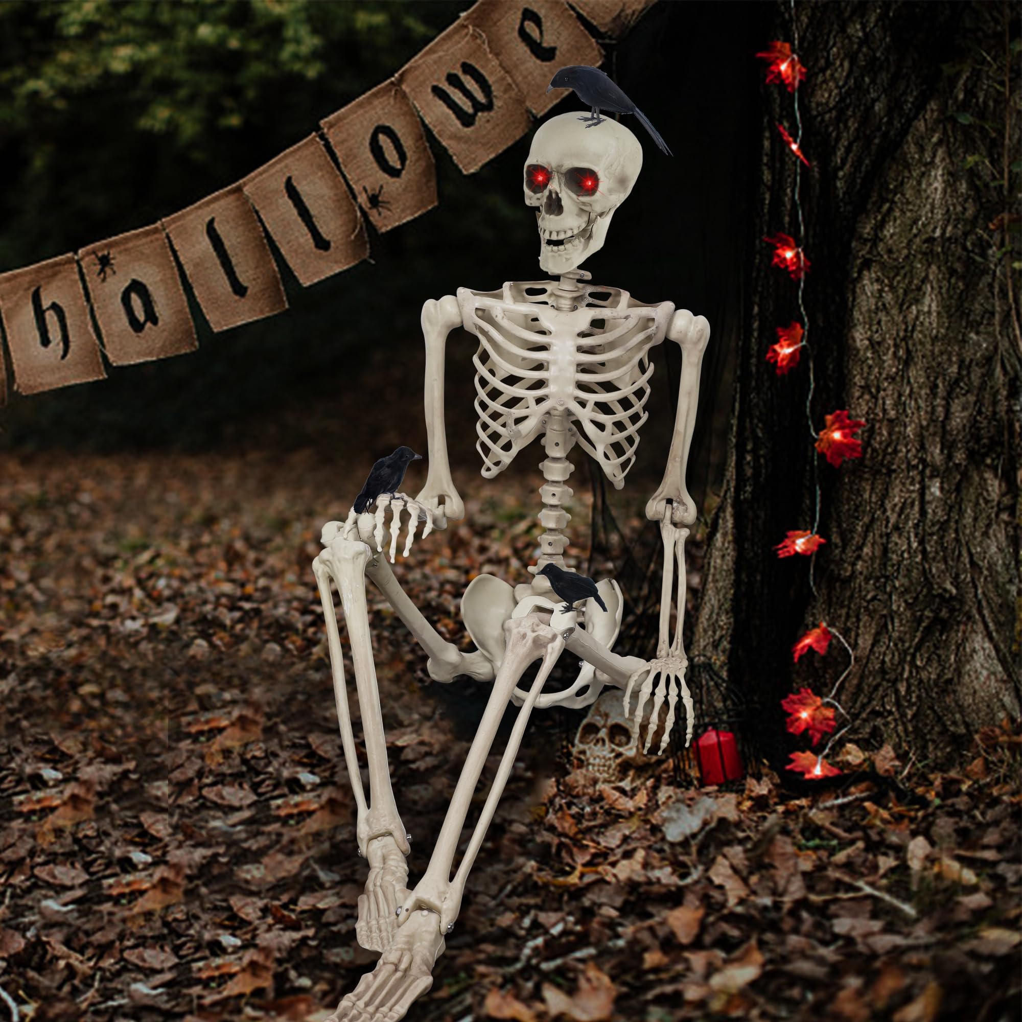 https://m.media-amazon.com/images/I/814HeIpCsHL.jpg