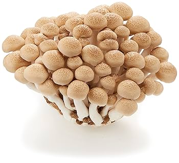 ぶなしめじ ぶなしめじ ダブルパック｜ベイシアネットスーパー｜楽天全国