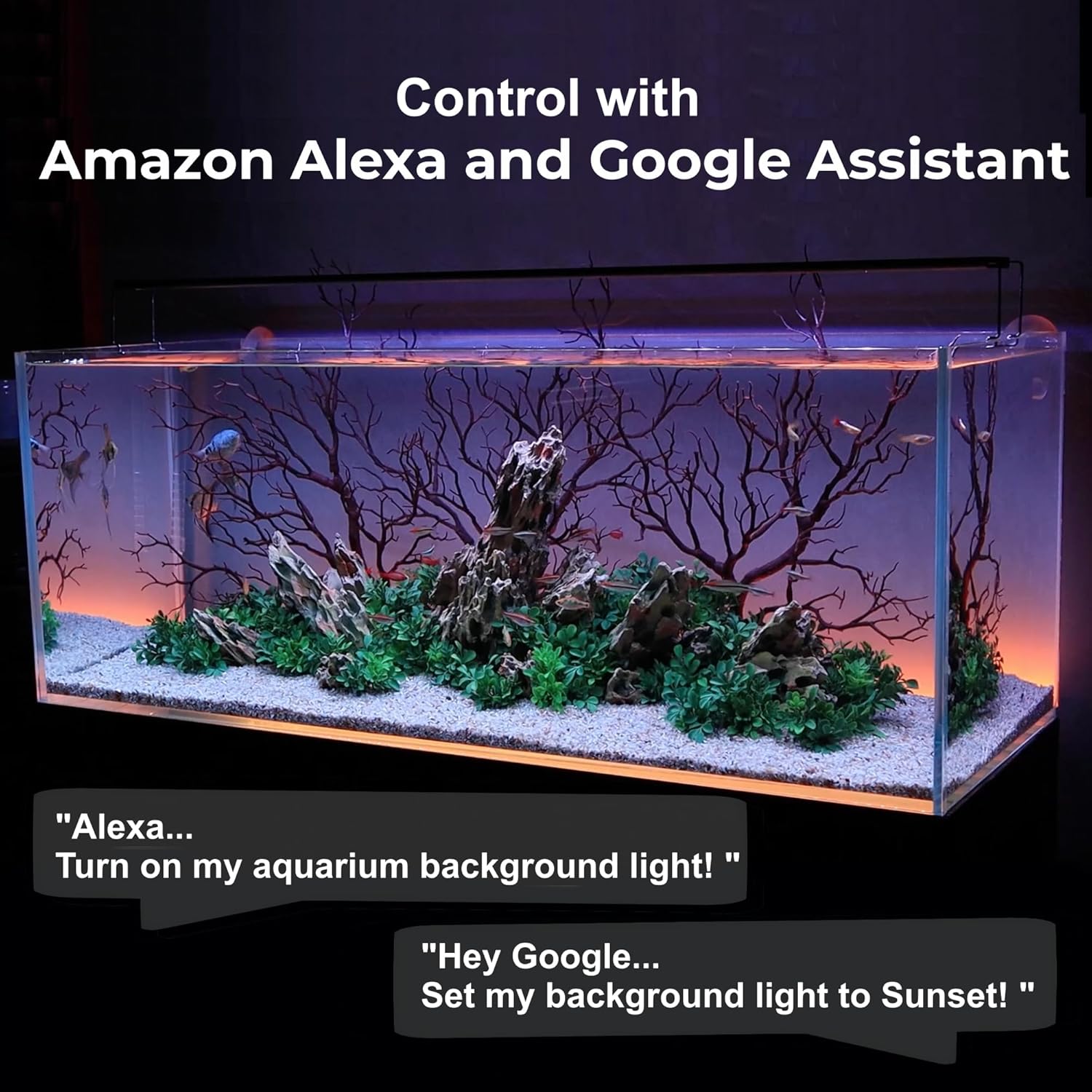 CURRENT Color+ Smart Aquarium LED and ColorCast Background Light Bundle 24" | for Aquariums 24" to 36"