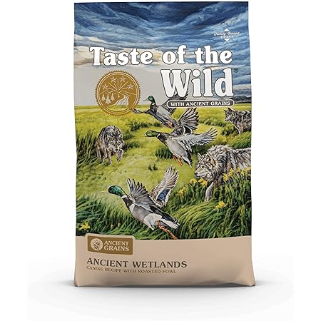 taste of the wild ancient stream