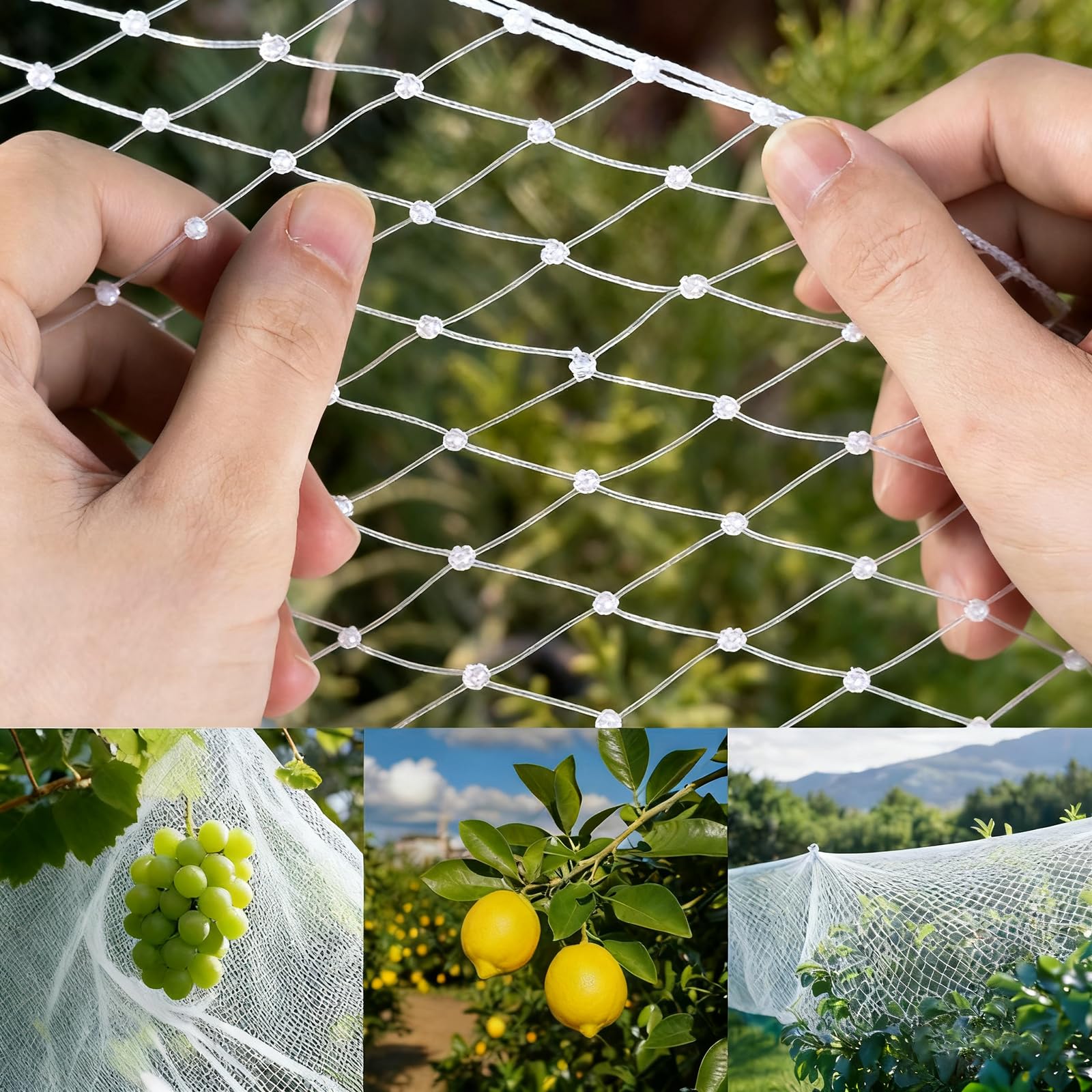 Filets Anti Oiseaux Mailles De Nylon,Filets De Protection Contre LéGumes,Filets De Protection Jardin,Protection ComplèTe,pour éTangs,RéSistant Oiseaux