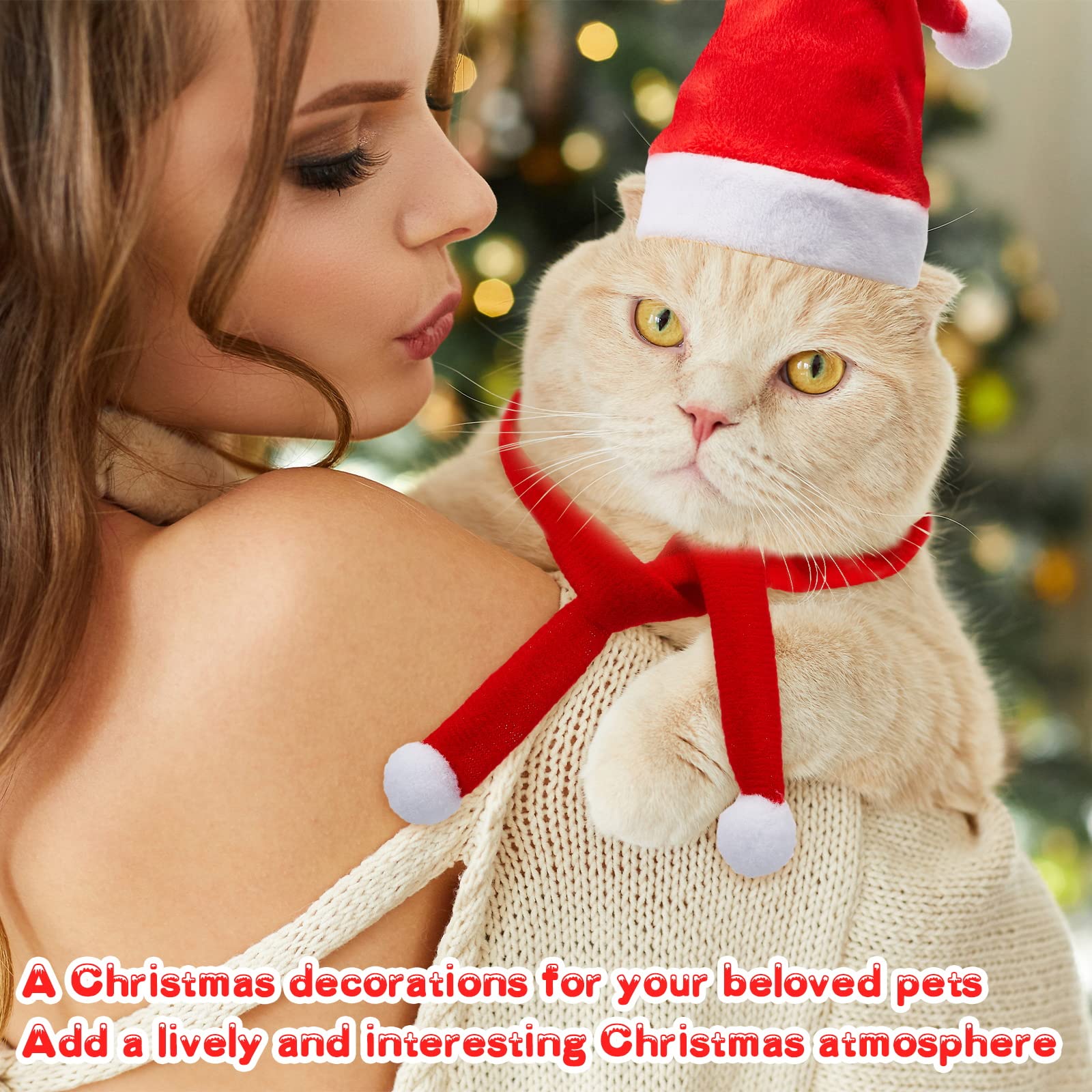 Weihnachtsmütze Für Haustiere - Santa Outfit Mit Schal Für Hühner & Mehr