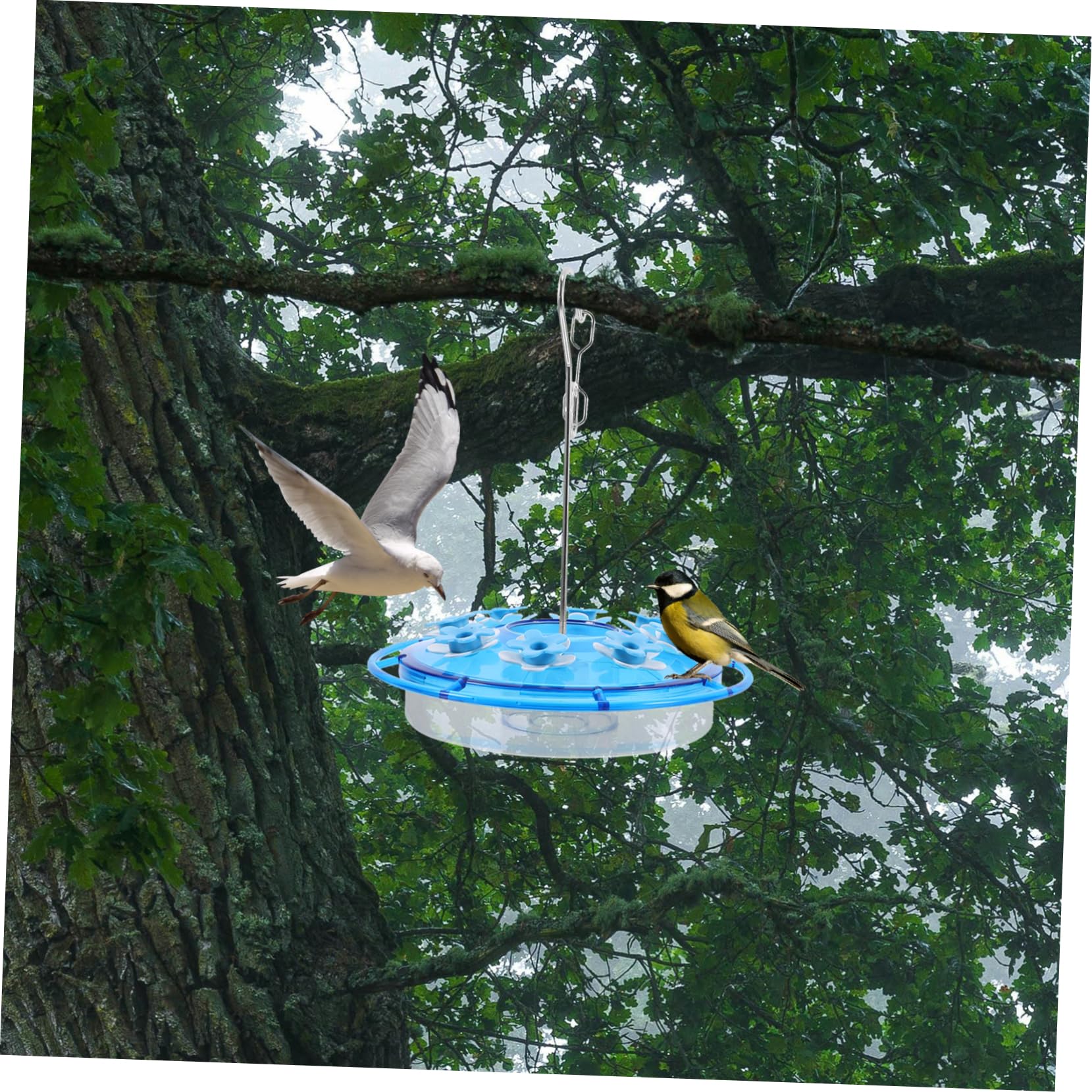 2pezzi Mangiatoia per Colibrì Sospesa Decorativa Contenitore per Cibo per Uccelli da Giardino Parte di Mangiatoia per Colibrì