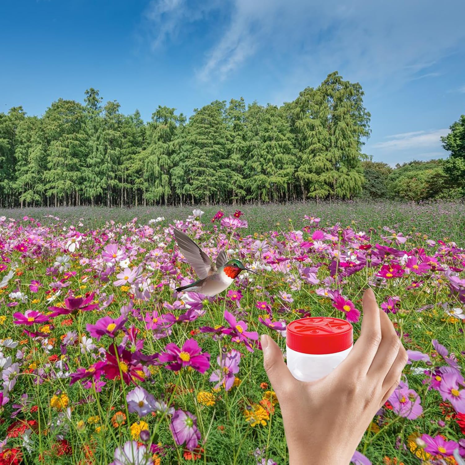 2025 Hand Hummingbird Feeders, Hummingbird Handheld Feeder, Handheld Bird Feeder Bottle Hummingbird Feeder Window Hummingbird for Outdoor Supplies - Image 6