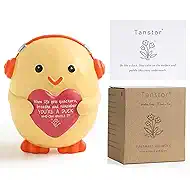 Inspirational Gifts for Women, Emotional Positive Support Resin Duck, Encouragement Gift for Office Desk Decor, Christmas Stocking Stuffers for Family Friend Coworker