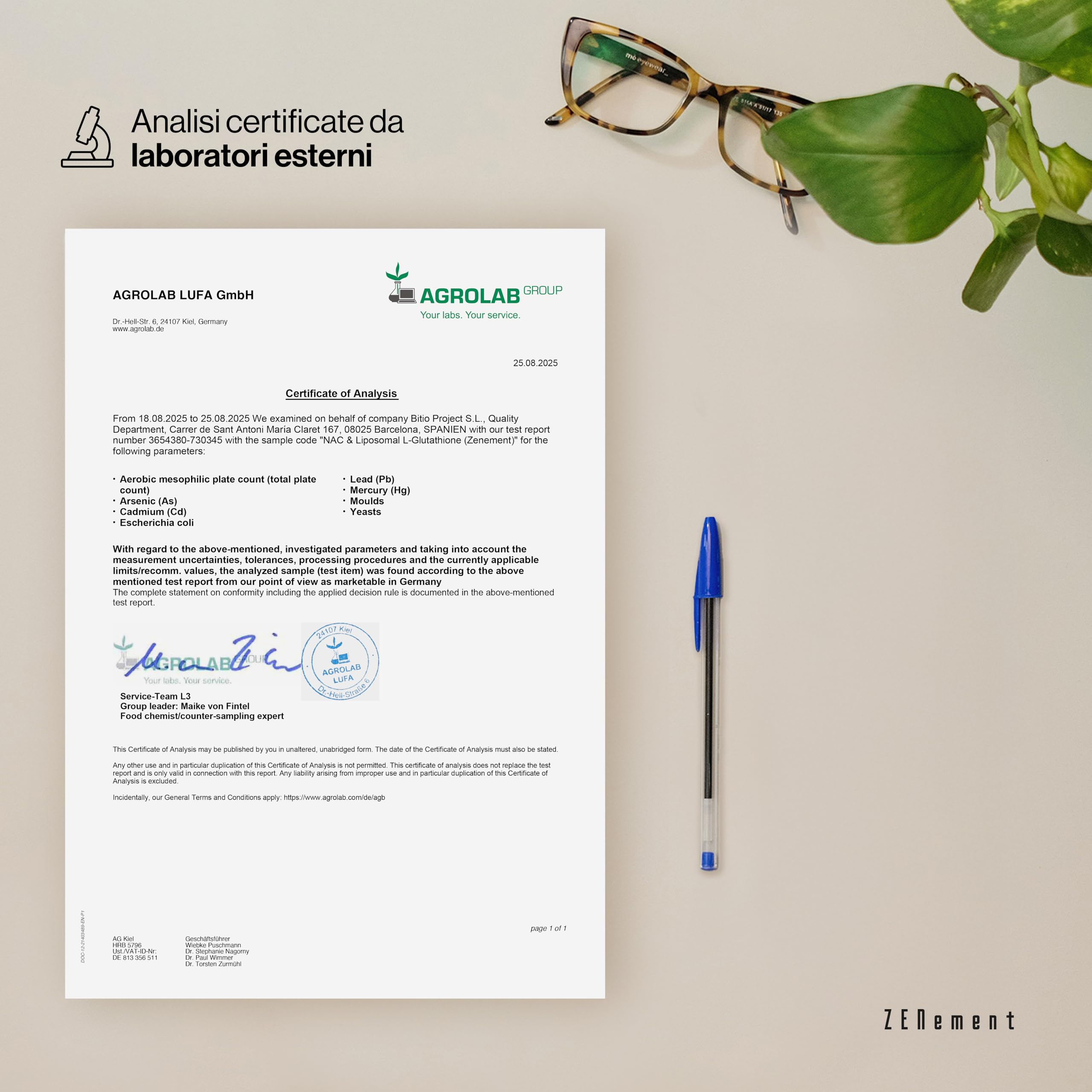 NAC con L-Glutatione Liposomiale - Formula Avanzata con N-Acetilcisteina e Glutatione ad Alta Assorbimento - Capsule Vegane a Rilascio Ritardato, Senza Additivi - 120 Capsule, 4 Mesi - Zenement