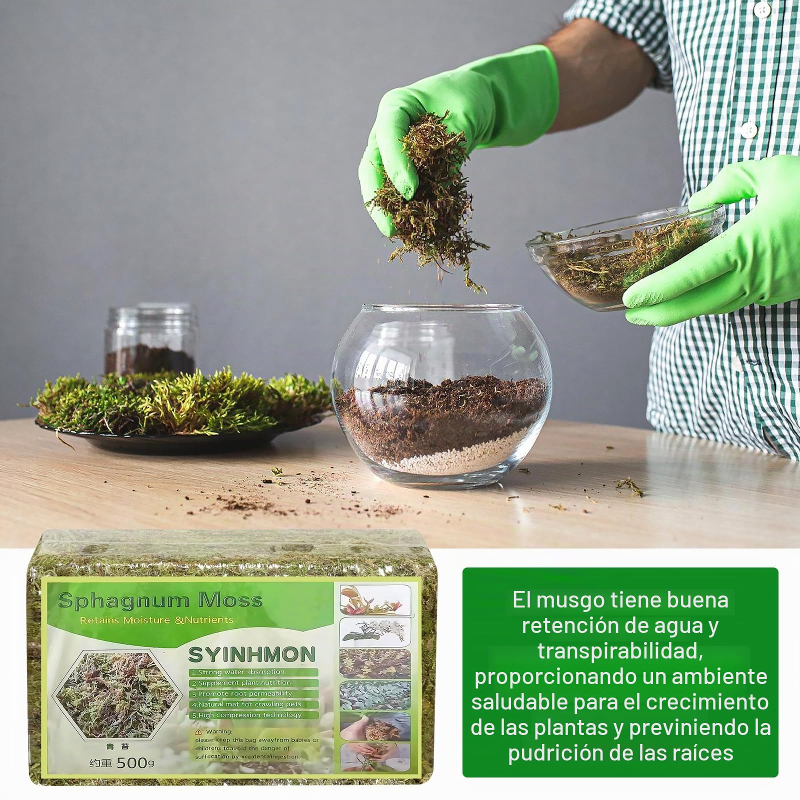 2 x 500 g de musgo sphagnum para plantas, nutrición de turba orgánica, sphagnum comprimido, musgo de fibra larga, para jardinería y terrarios, orquídeas, enraizamiento de esquejes