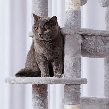 Heybly Cat Tree for Large Cats 20 lbs, 69 inches XXL Cat Tower HCT031W