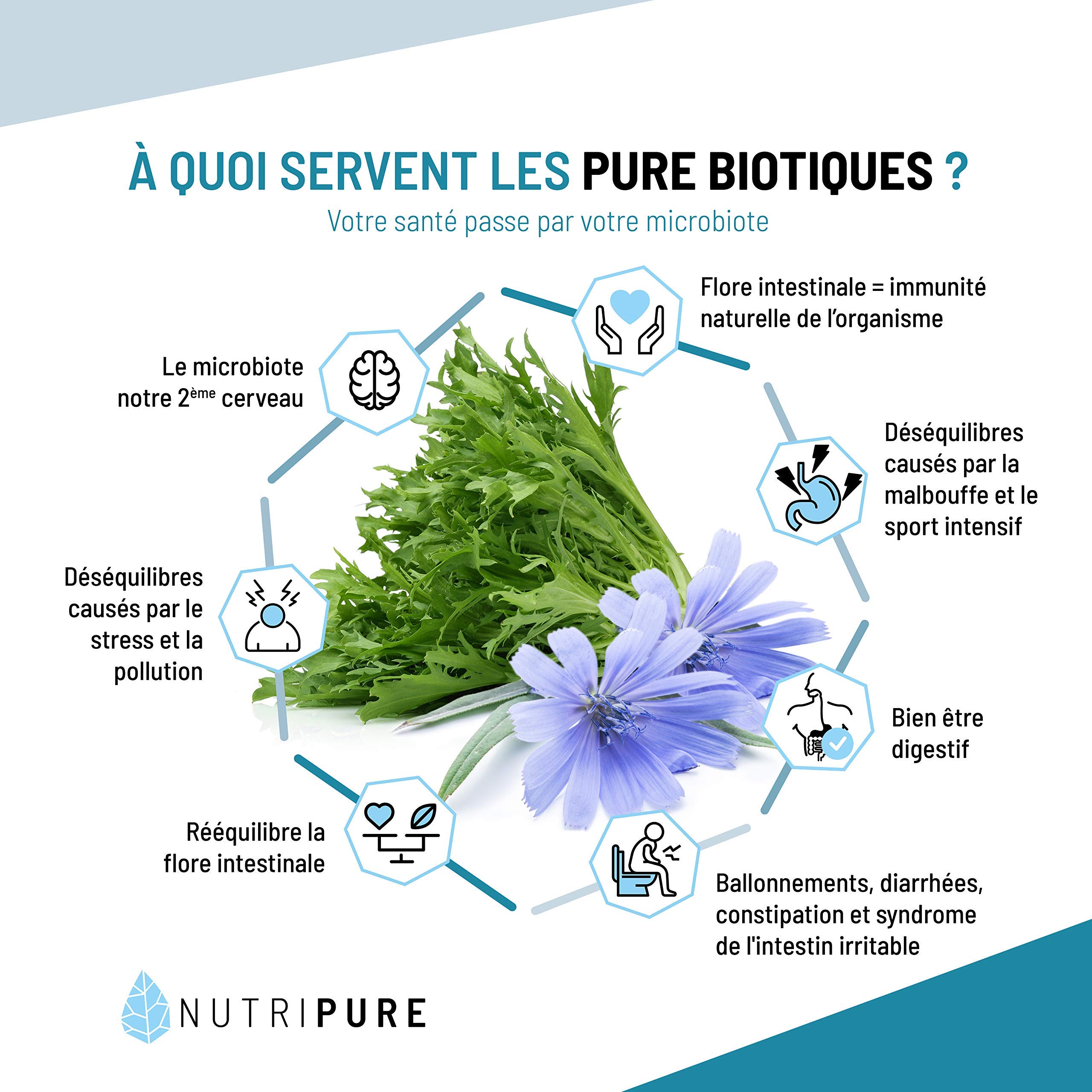 Nutripure | Pure Bio² | Ferments Lactiques 10 Mds d’UFC | Lactobacillus & Bifidobactéries vivants | 6 Souches Biodisponibles | 60 Gélules Gastro-Résistantes | Fabriqué in France