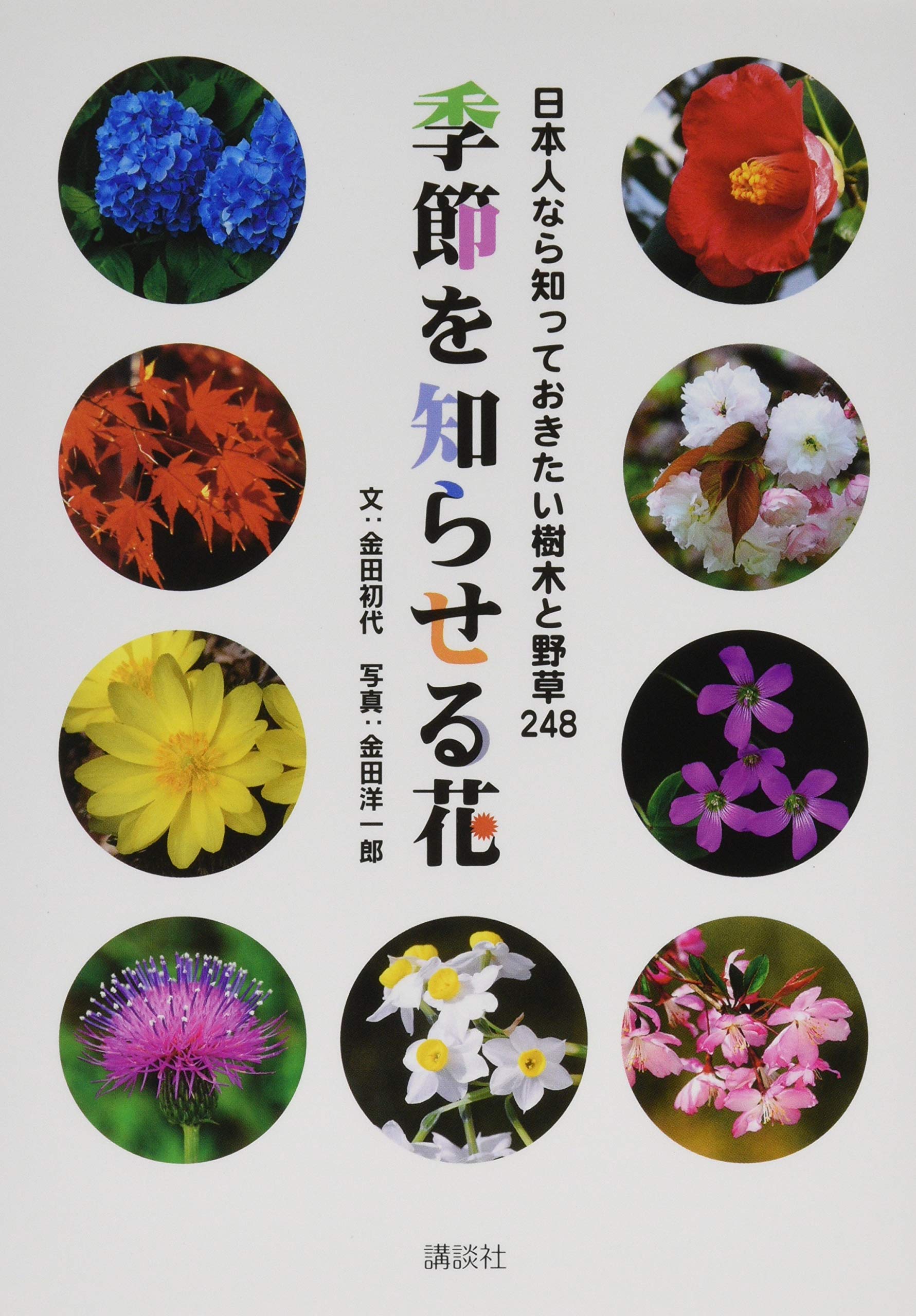 生け花 「花の秘伝」大型本 生け花 「花の秘伝」大型本 Amazon.co.jp