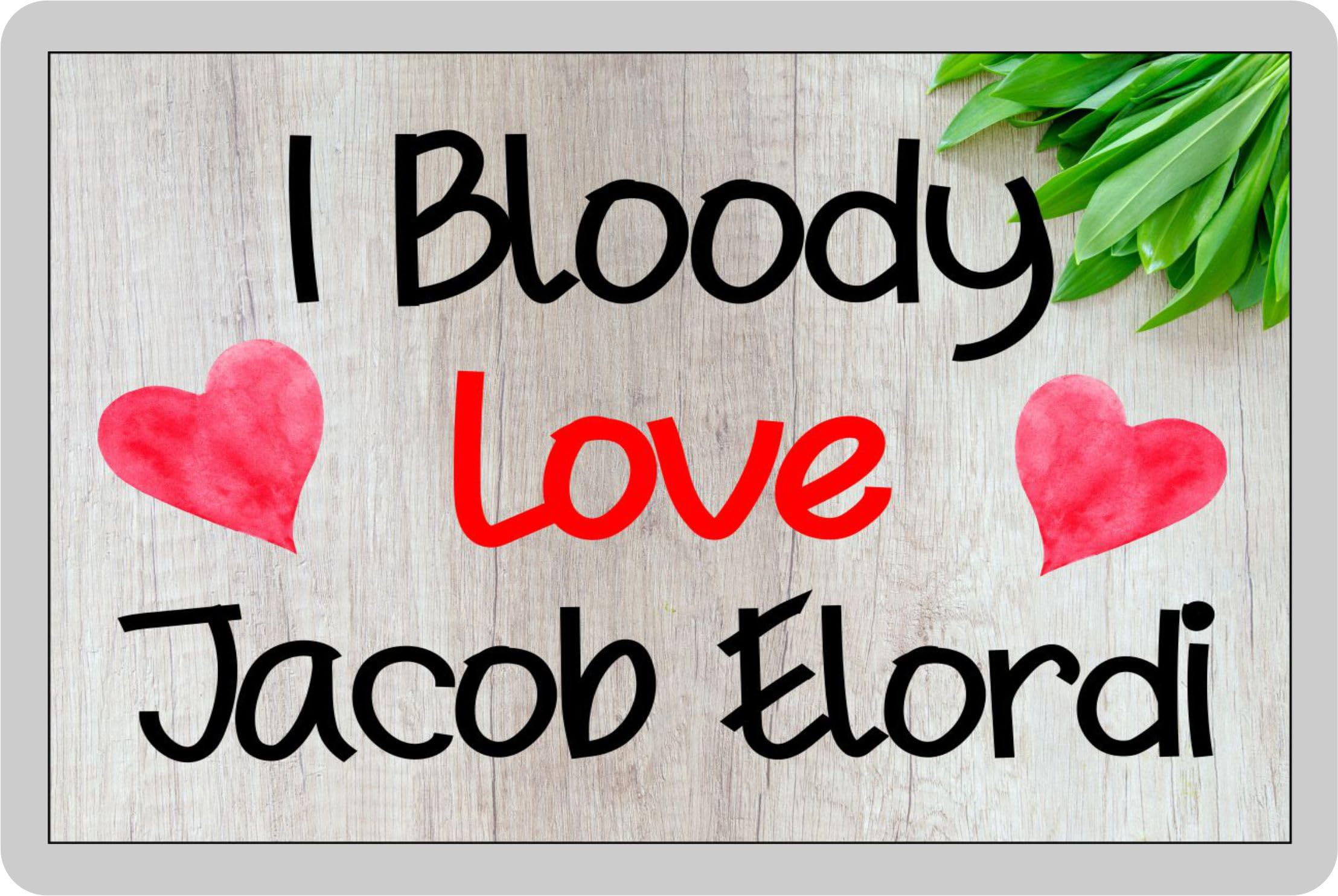 Jacob Elordi Fridge Magnet Gift – I Bloody Love - Fun Cute Novelty Movie Fan Present