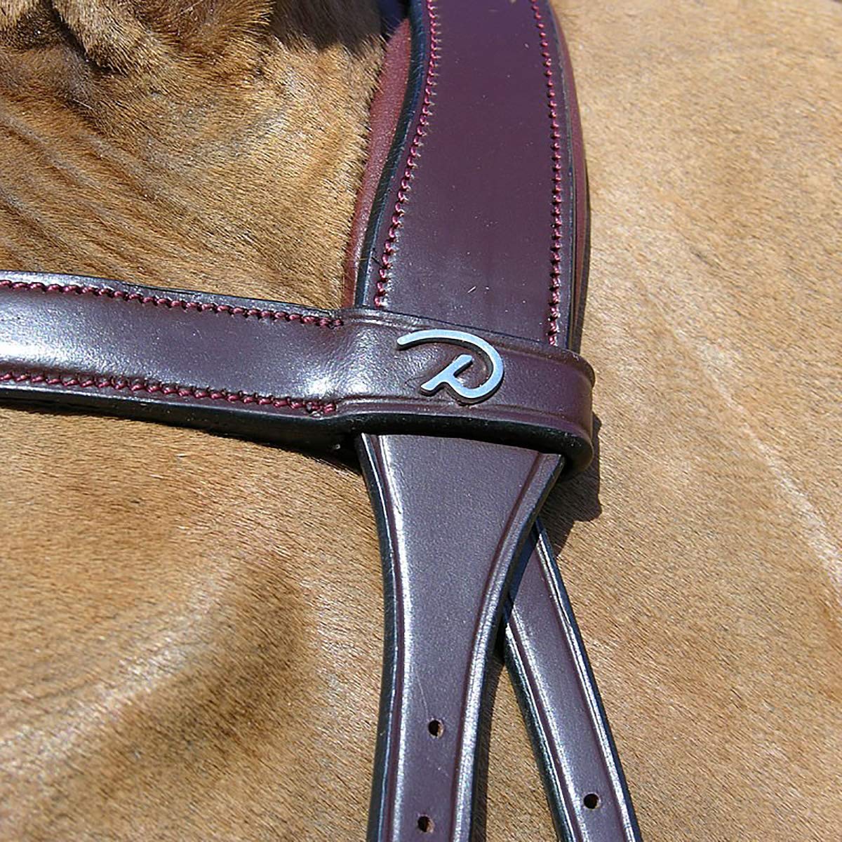 Dy'on Briglia NEC X Fit in Size: Full (EU). - Marrone - Full