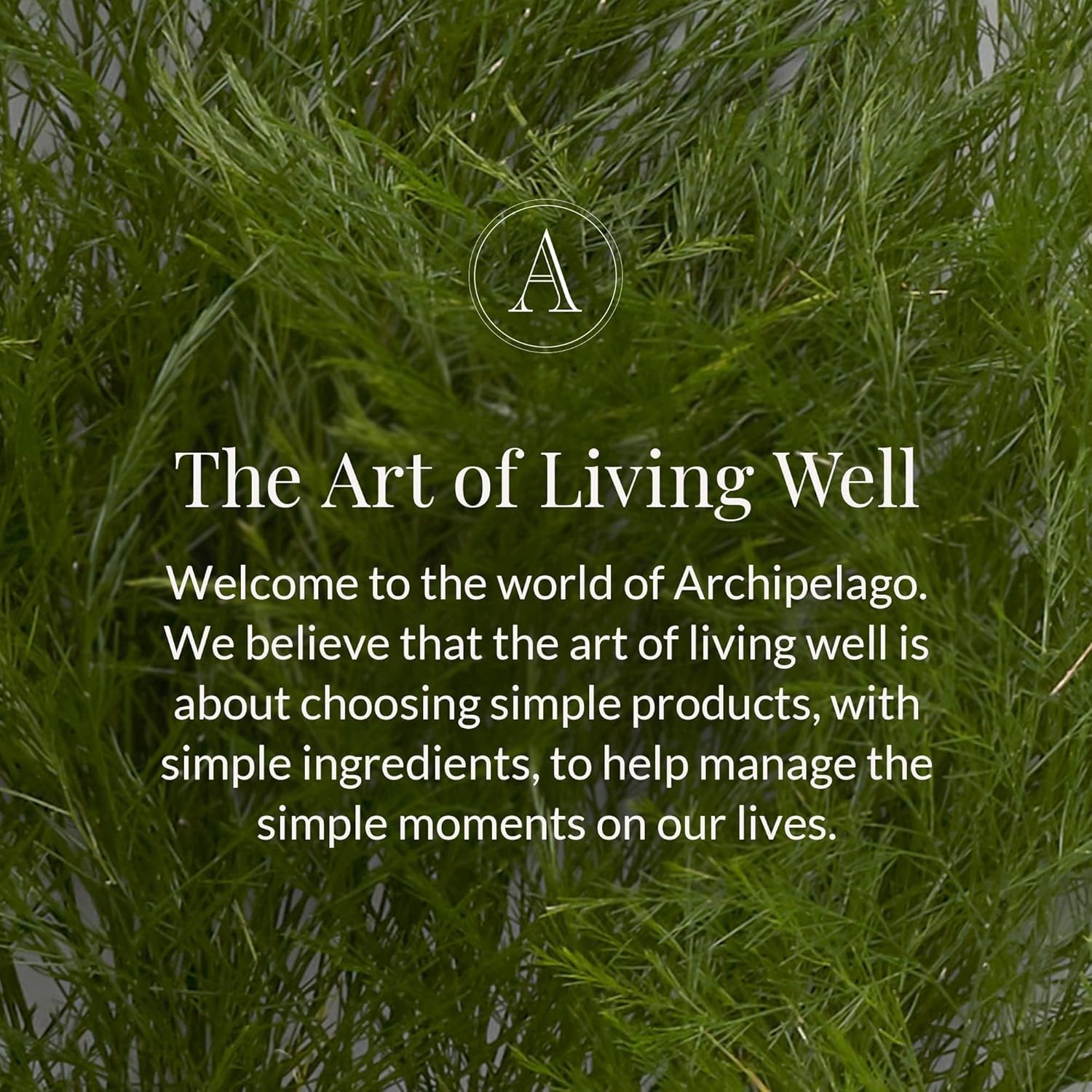 Archipelago Botanicals Coconut Hydrating Body Oil, Lightweight Jojoba, Argan & Rosehip Oils for Soft & Glowing Skin, Malayan Coconut & Lime Zest Aroma, 3.4 fl oz