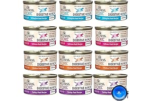 Core Digestive Health Wet Cat Food