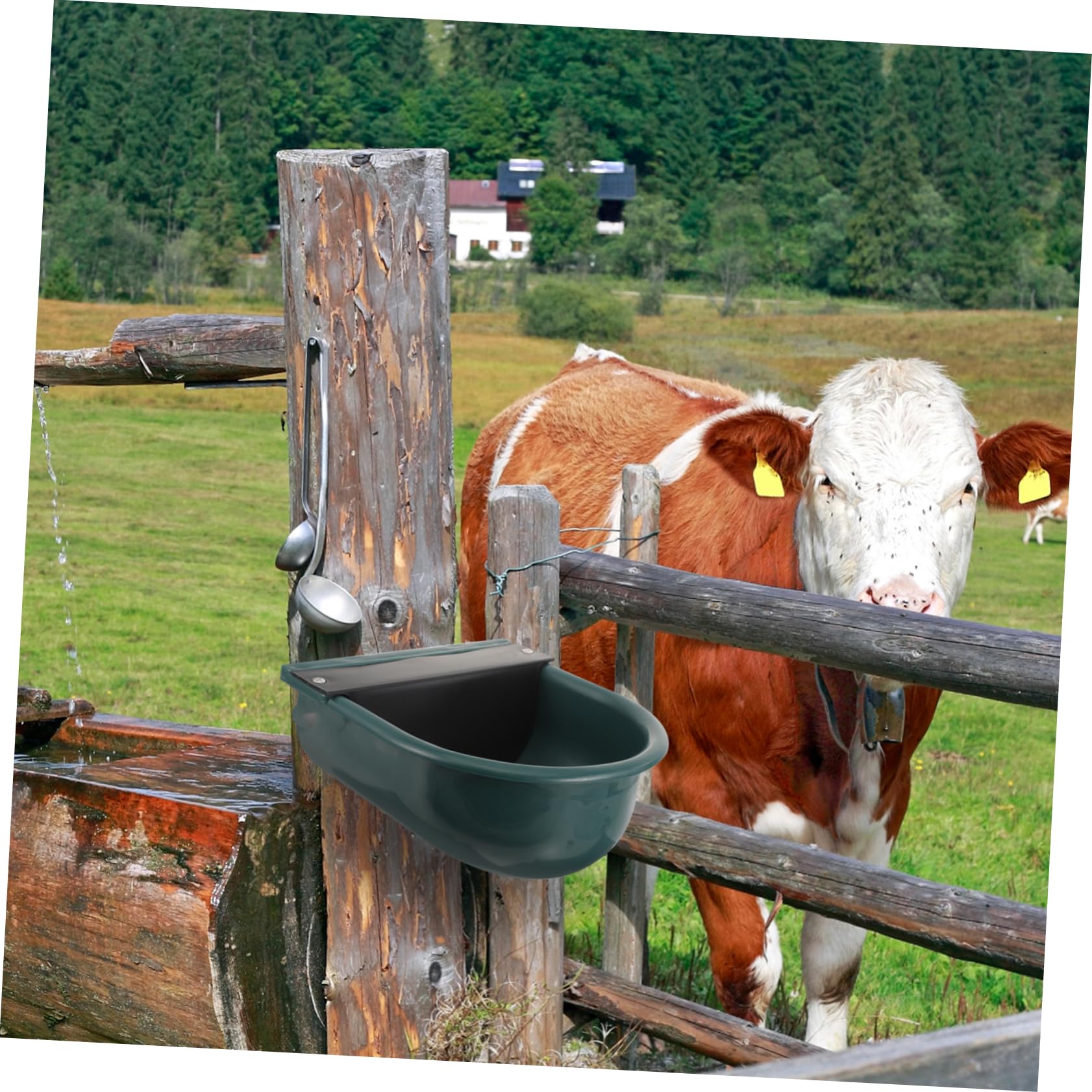 Bebedero Automático Para Caballos Tazón De Agua Flotador Plástico Higiene