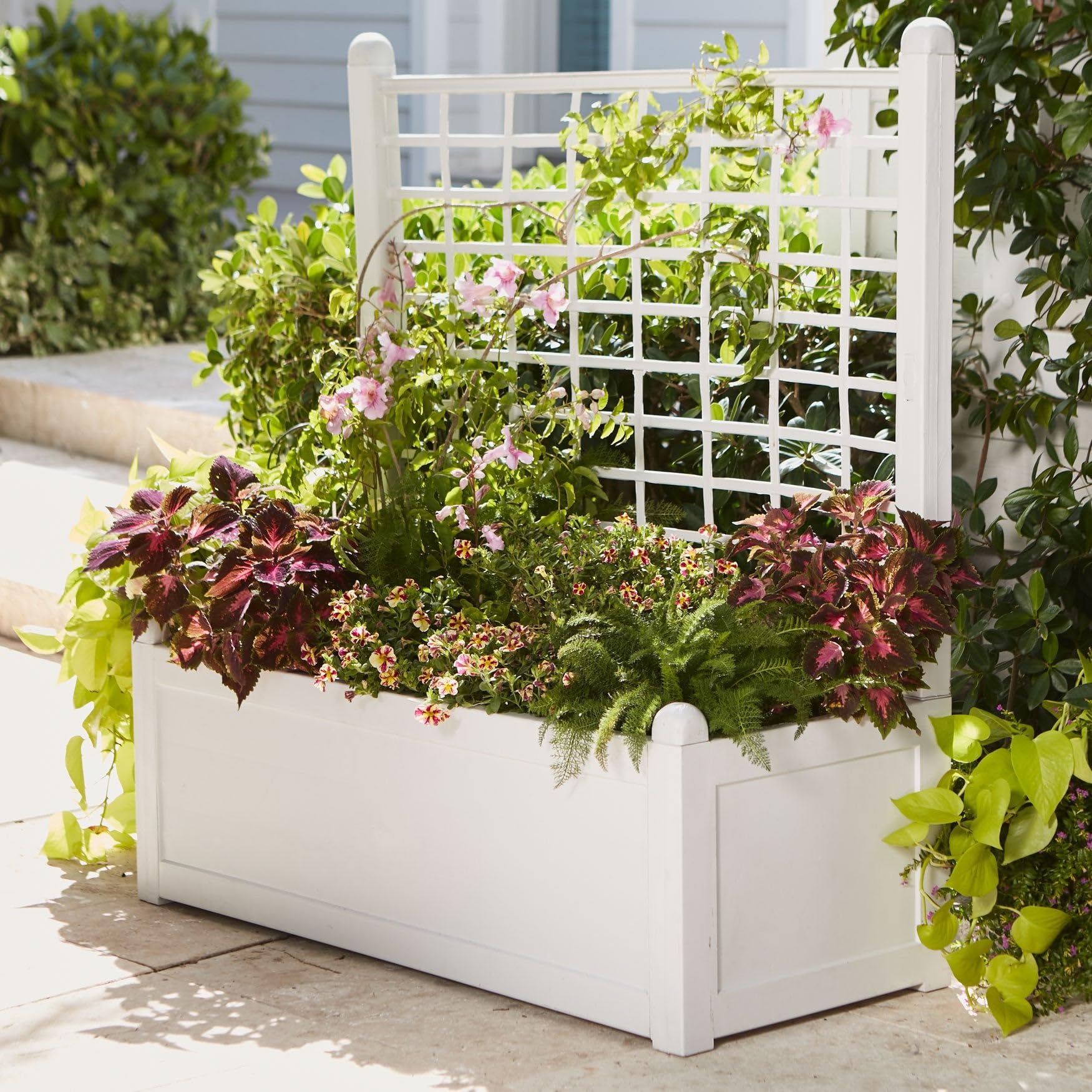 plastic liners for planter boxes Natural Wood Planter Box Rectangular 24"x6" With Plastic Liner