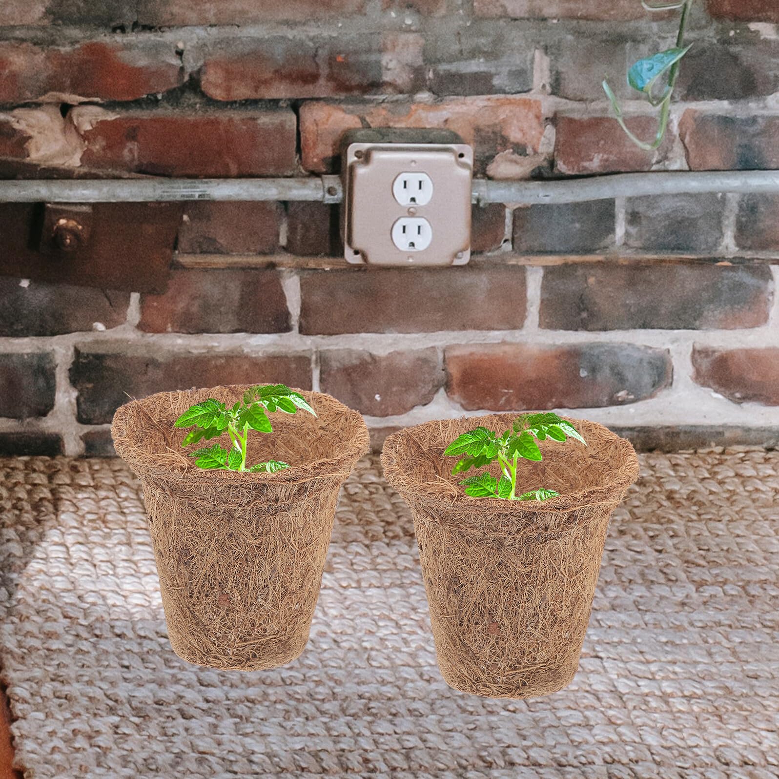 10 Pots de Démarrage, 10 Paquet de Terreau, 15 Étiquettes pour Plantes Jardinière Écologique pour Semis et Plantation en Intérieur et Extérieur