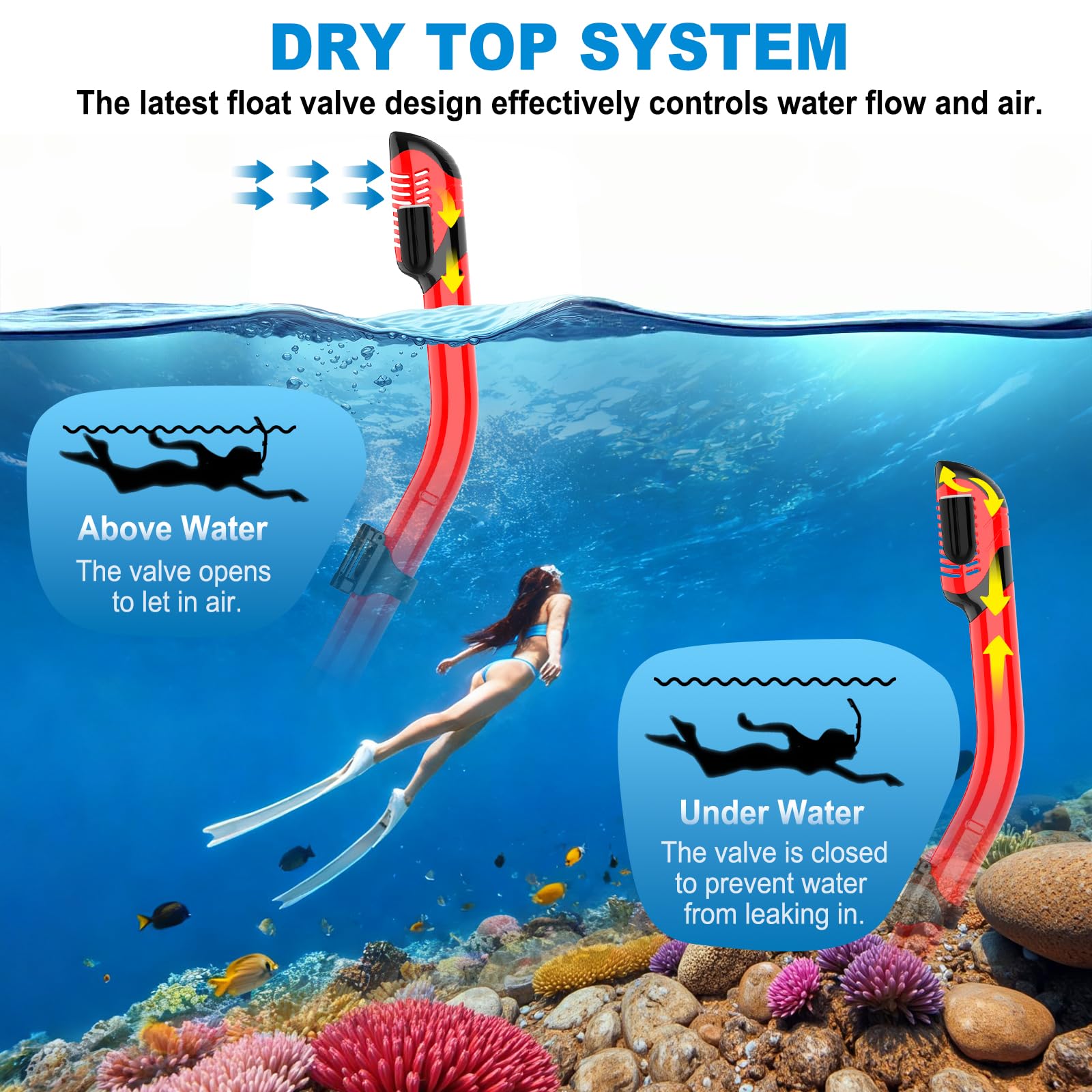 Schnorchelausrüstung für Erwachsene, Schnorchel-Set, Tauchmaske, Dry-Top, Schwimmbrille für Erwachsene mit Nasenabdeckung, HD-gehärtetes Glas, Panorama-Anti-Leck, Anti-Fog (Dunkelrot)