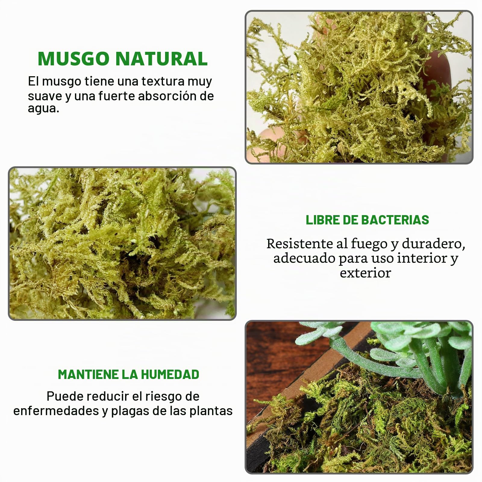 2 x 500 g de musgo sphagnum para plantas, nutrición de turba orgánica, sphagnum comprimido, musgo de fibra larga, para jardinería y terrarios, orquídeas, enraizamiento de esquejes