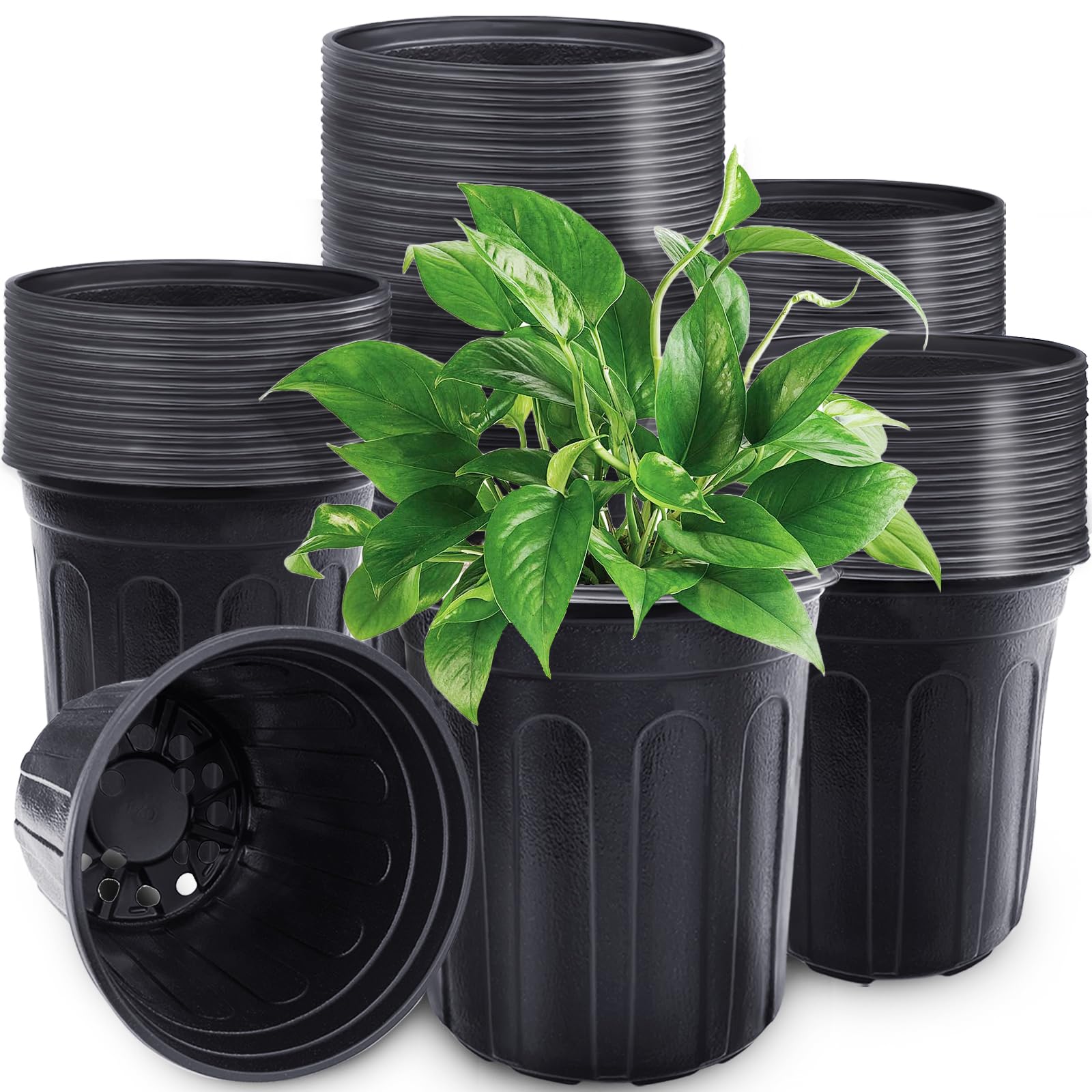 Pynqdfu 60-Pack 1 Gallon Plant Nursery Pots