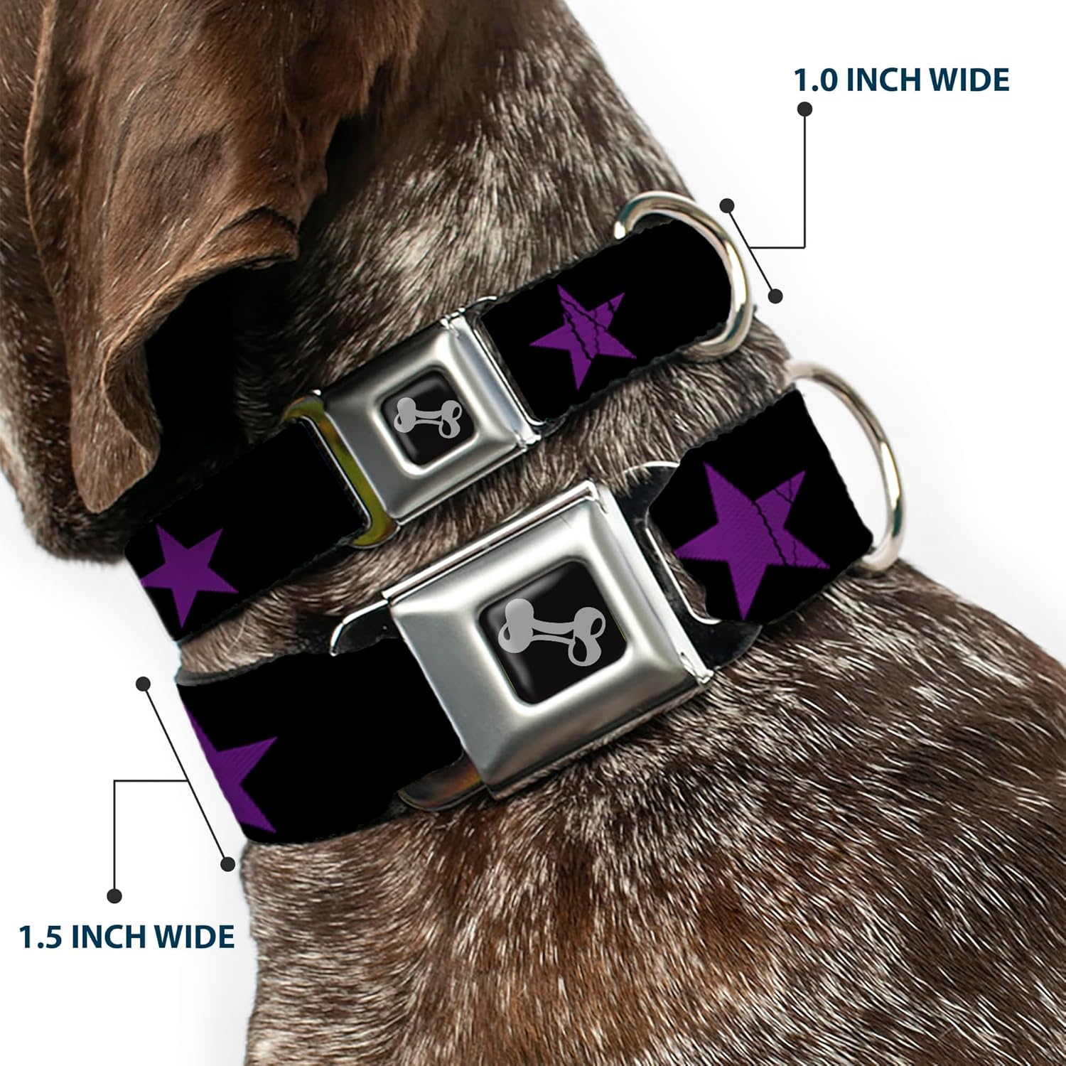 Dog Collar Seatbelt Buckle Star Black Purple 11 to 17 Inches 1.0 Inch Wide