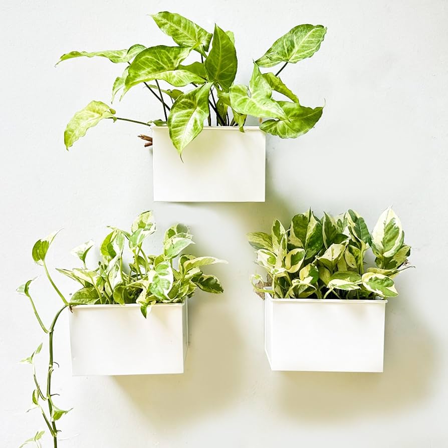 ウォールグリーン　フラワー壁掛け　ホワイトローズ　1m ウォールグリーン フラワー壁掛け ホワイトローズ 1m