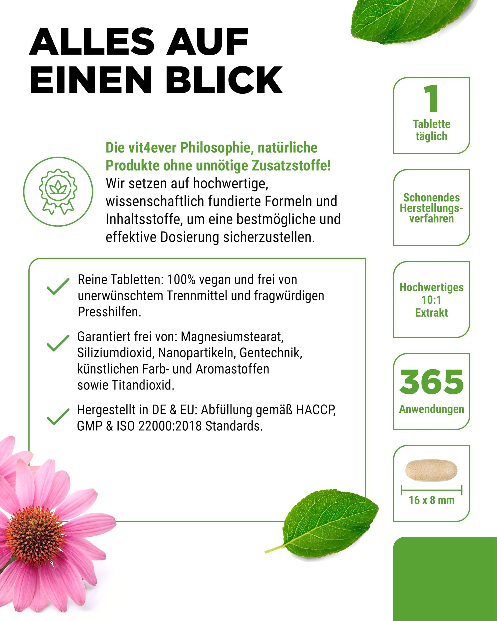 vit4ever Echinacea 500 mg - 365 vegane Tabletten - Natürliches Echinacea Extrakt 10:1 - Hochdosiert - Ohne unerwünschte Zusätze - Vegan