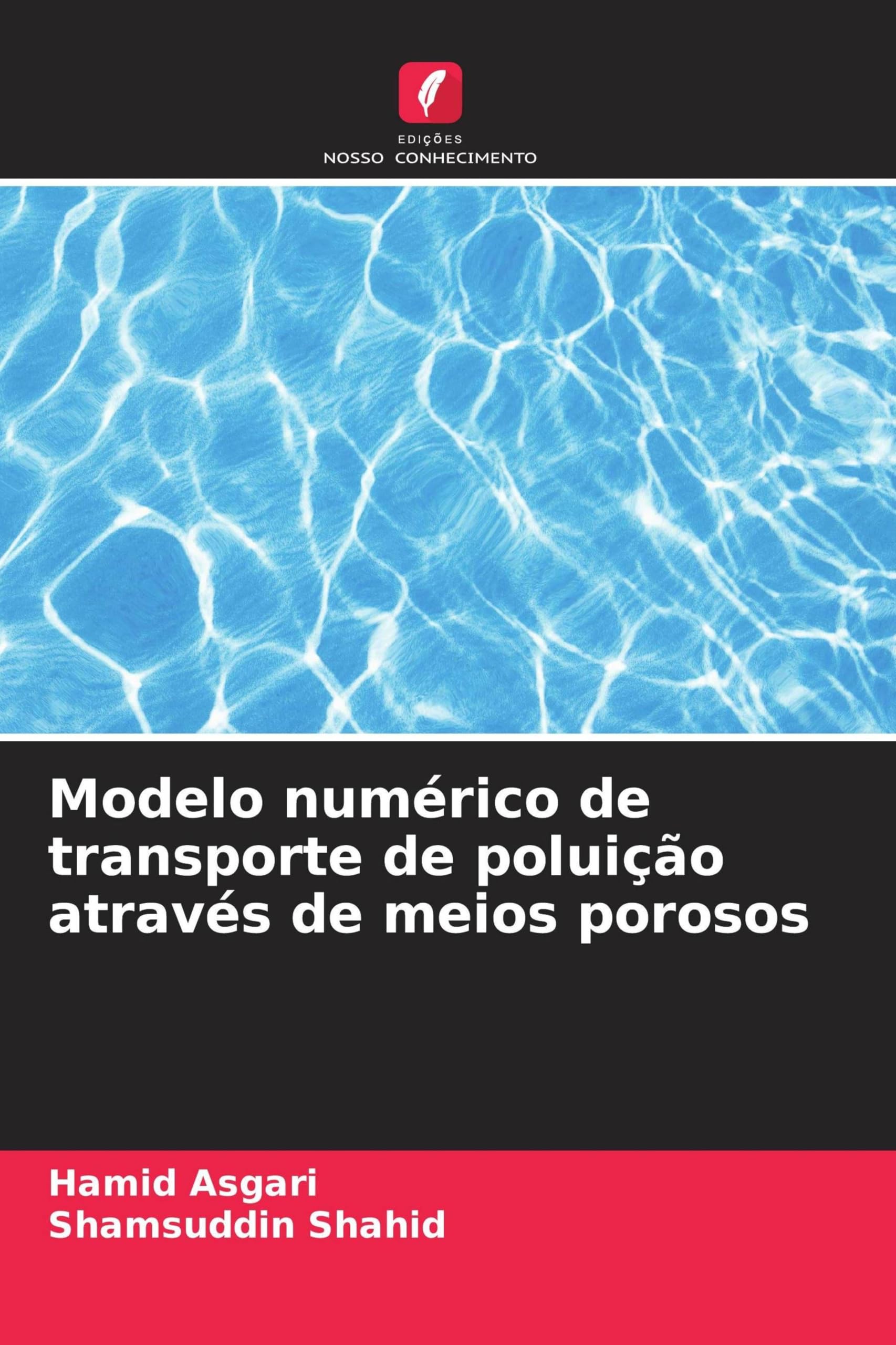 Modelo numérico de transporte de poluição através de meios porosos