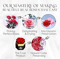 Vista 9 de GLAMOUR BOUTIQUE Rosas eternas preservadas en una caja, flores para siempre, rosa para siempre en una caja para esposa o ella, regalo de flores