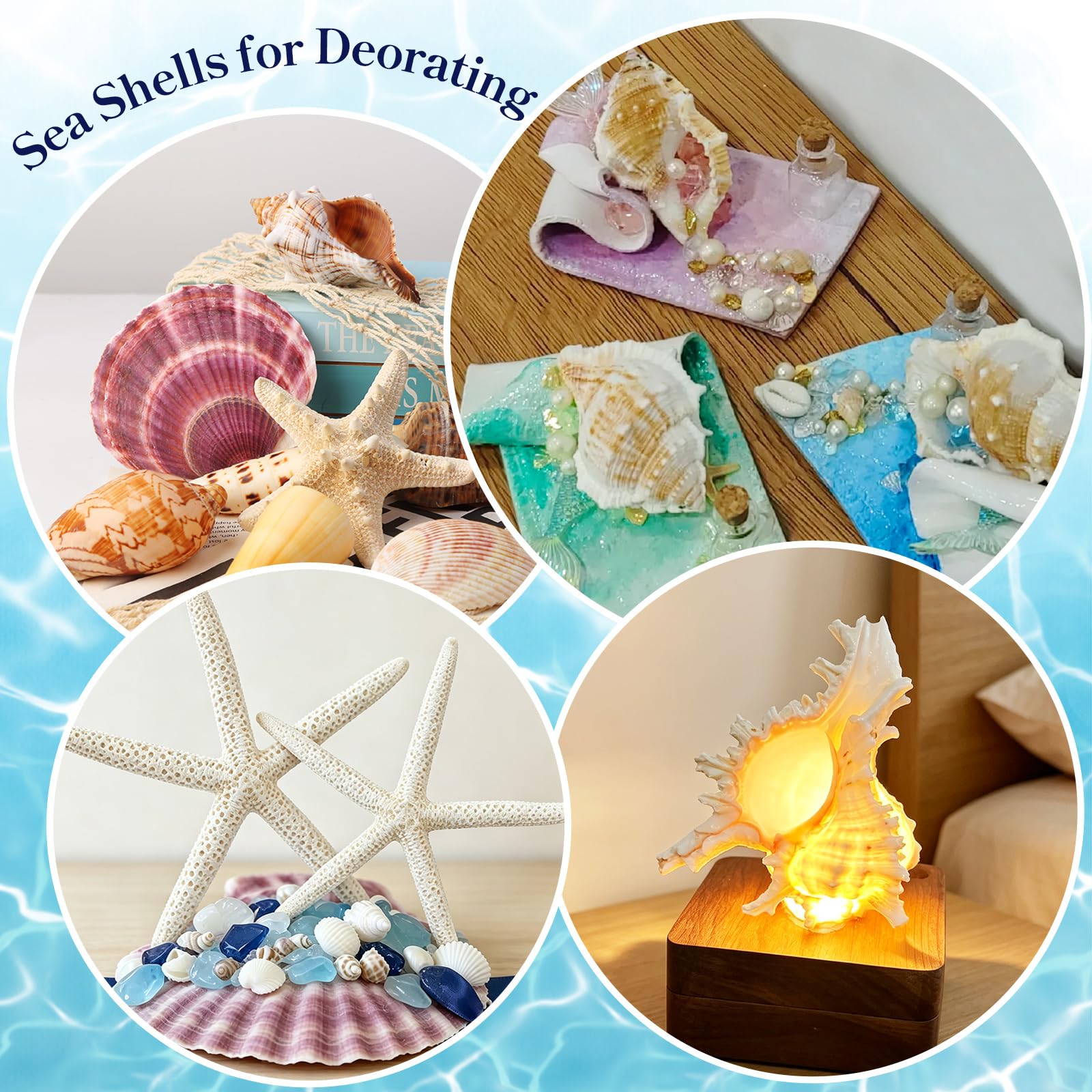 Conchiglie marine per decorare 14 conchiglie grandi a forma di stella marina per feste in spiaggia, riempitivi per vasi, decorazioni per la casa, artigianato fai da te, bagno, decorazioni per acquari
