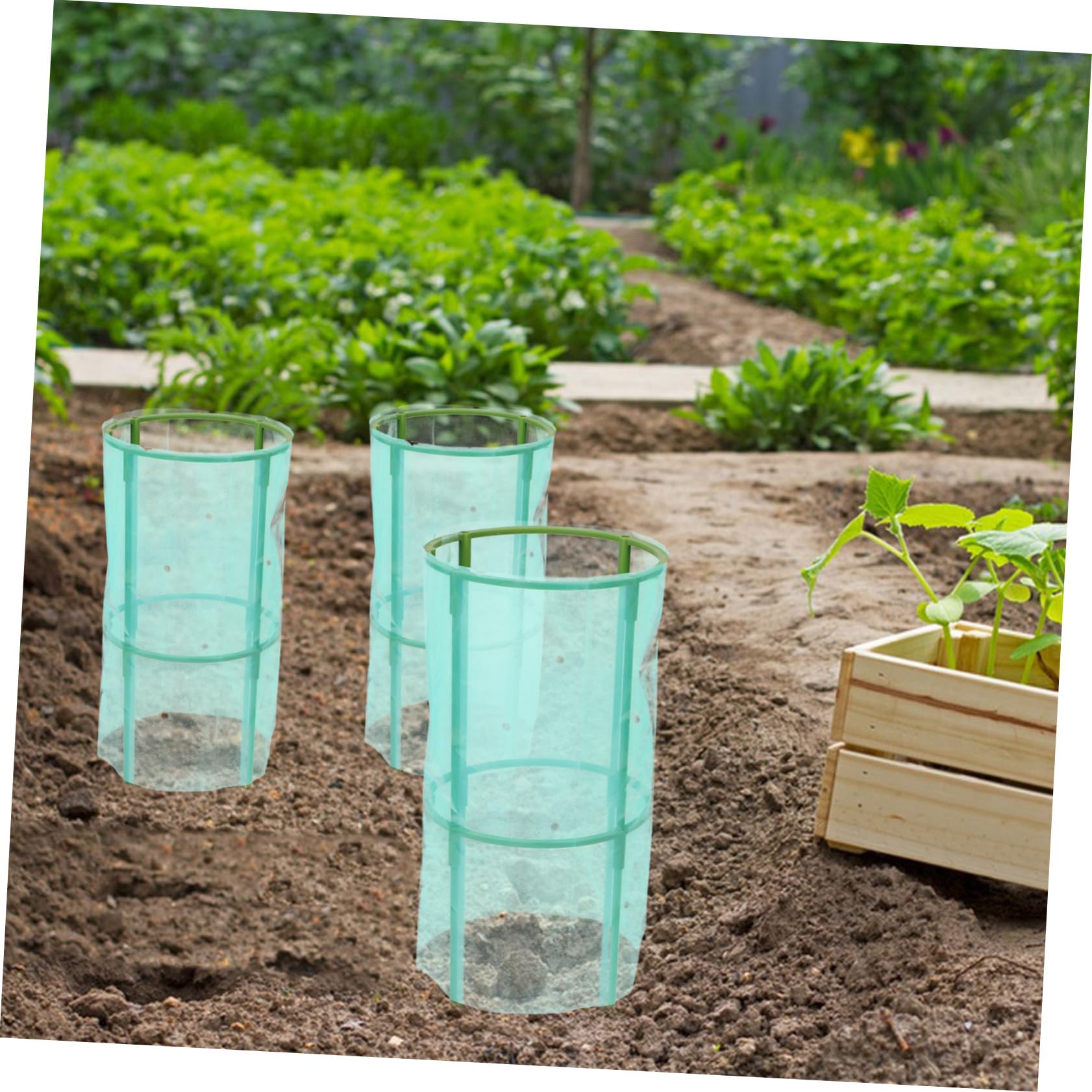 VANZACK 2piezas Cobertura Protectora De Plantas para Jardín Transparente y Aislante para Hortalizas y Tomateras Protección contra Heladas y Congelación