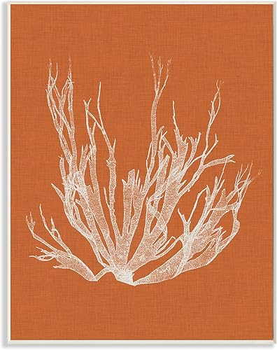 Stupell Industries Placa de pared de playa naranja y blanca con algas corales, 10 x 15 pulgadas, diseño por Artist Vision Studio