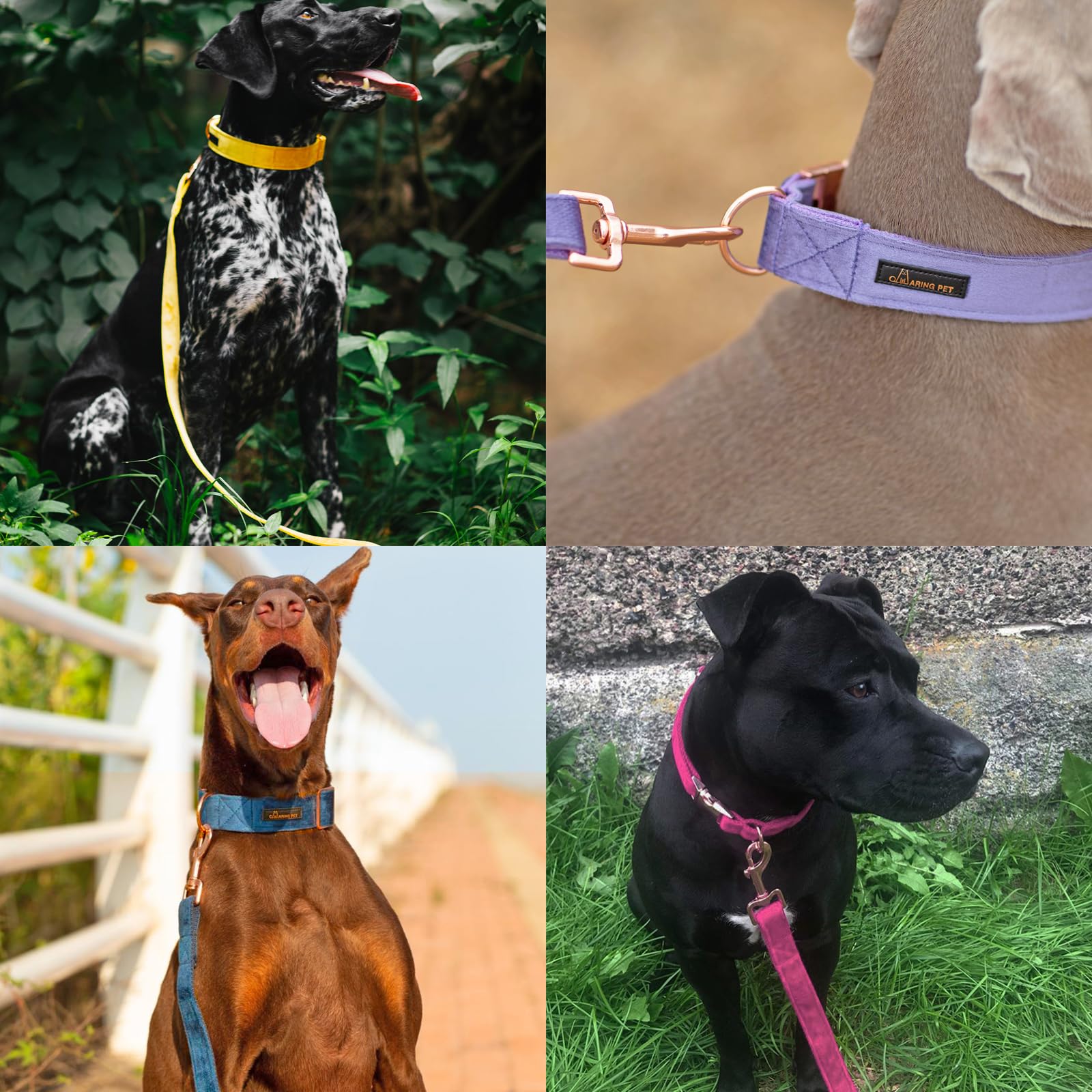 ARING PET Velvet Dog Leash & Collar Set, Handmade Strong White Velvet Wedding Leash for Small to Large Dogs - Image 2