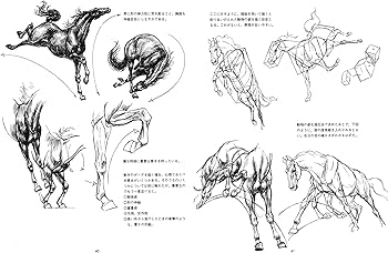 Amazon.co.jp: 動物画の描き方 : K.ハルトグレン: 本