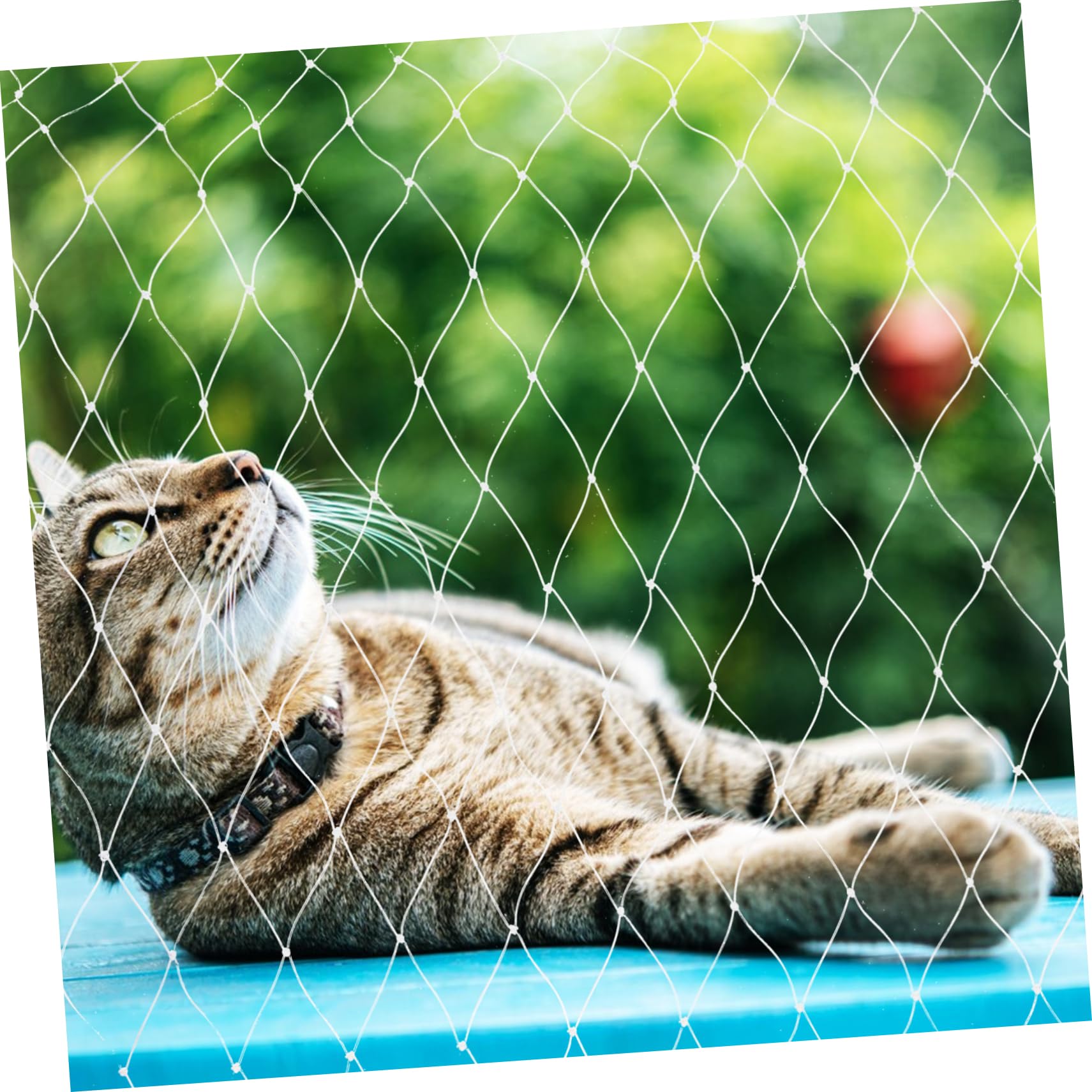 Schutznetz Katze für Balkon und Fenster Katzen Sicherheitsnetz aus Nylon Zuschneidbar Verschleißfest Weiß