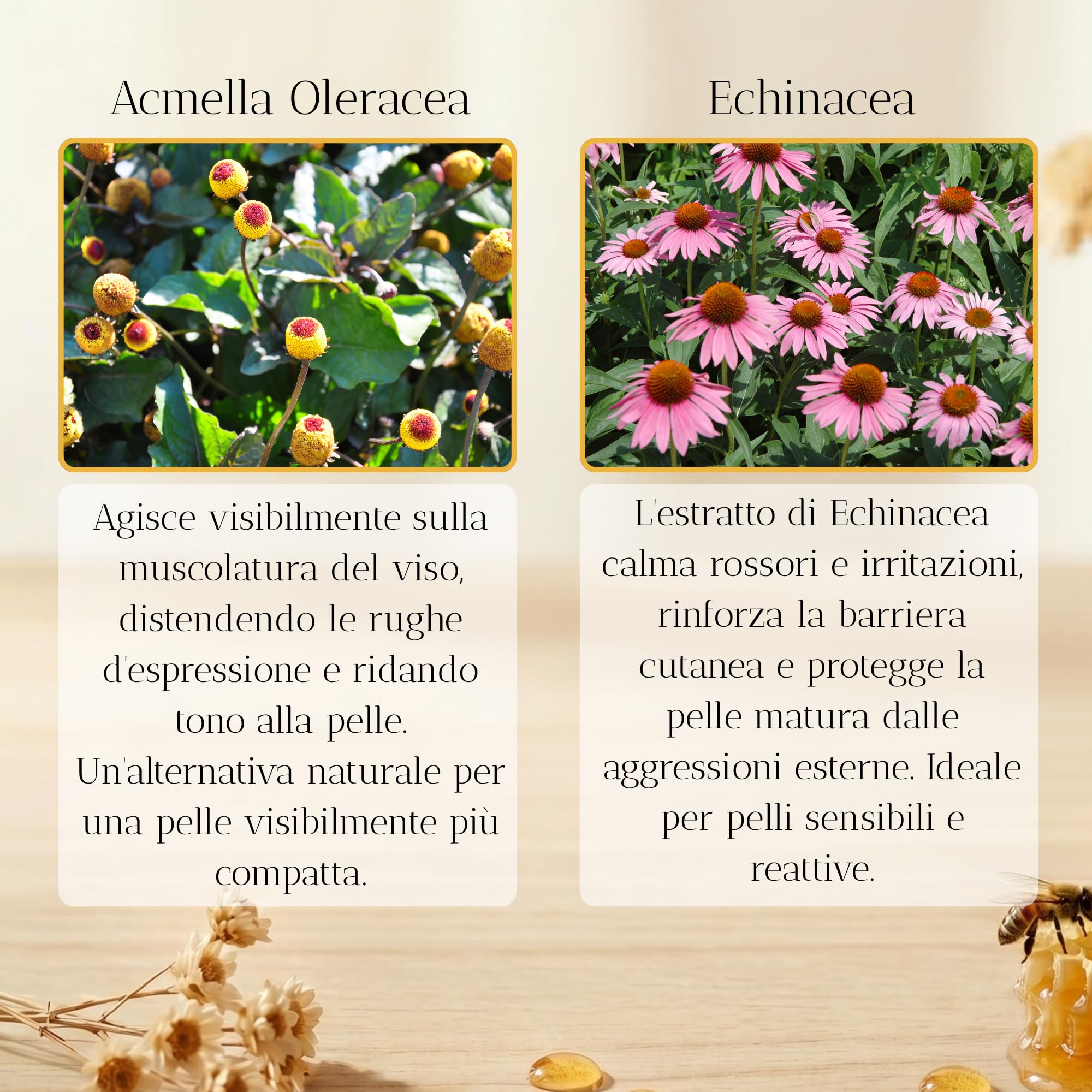 BiBee - Crema Viso Antirughe 60 anni con Acido Ialuronico e Miele 50ml