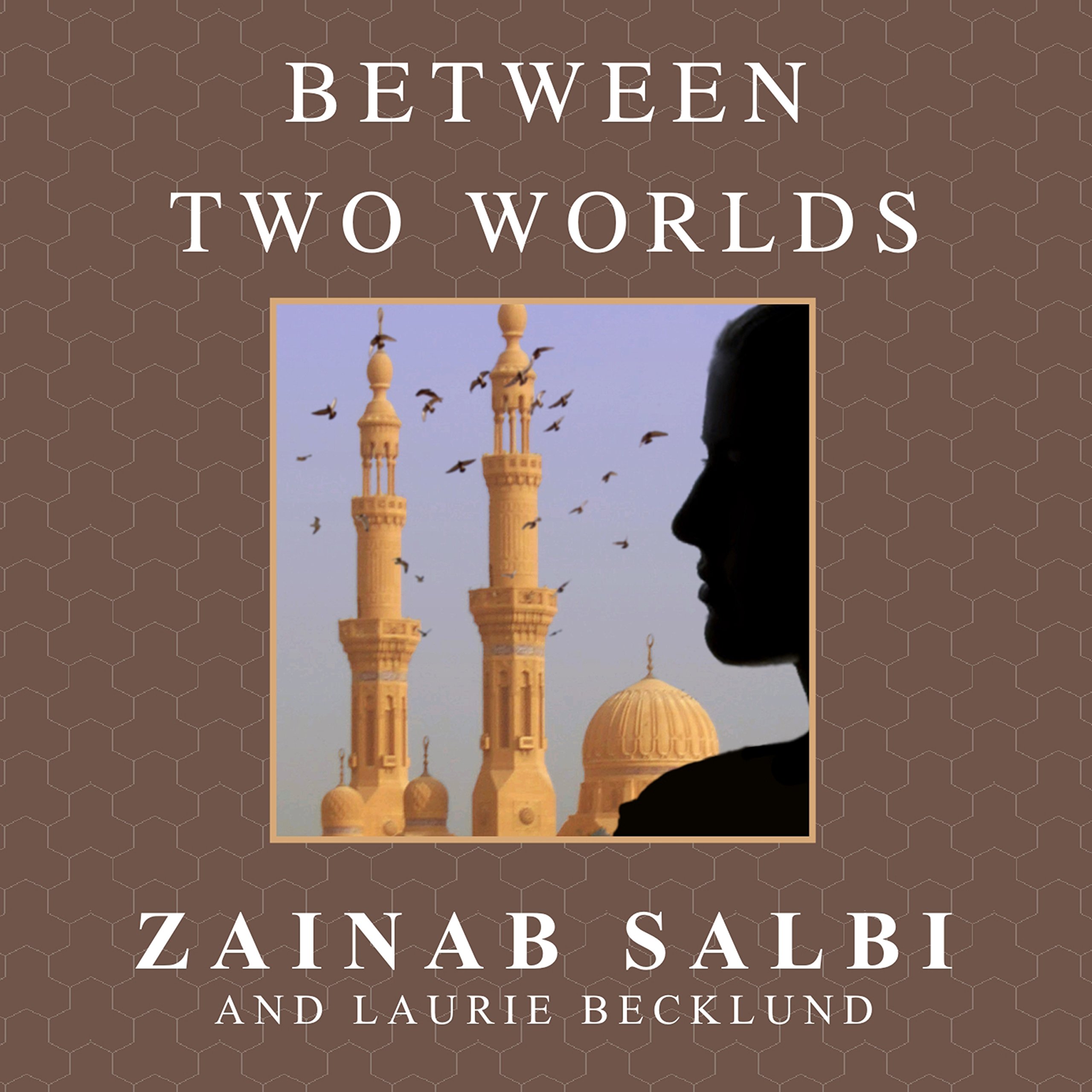 Cover art for Between Two Worlds