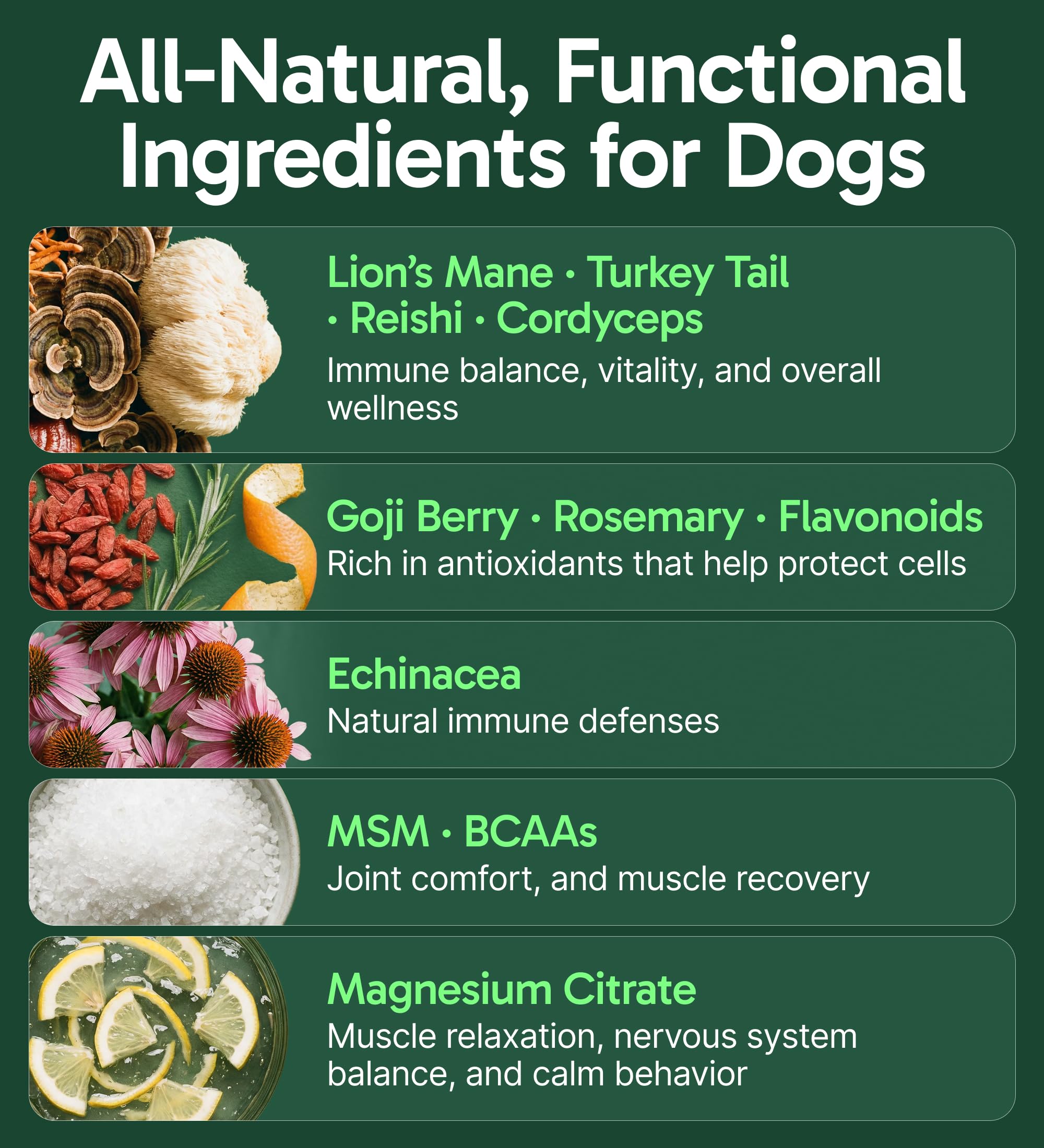 K9 Immune, All-Natural Mushroom Powder for Dogs for Immunity, Digestion, Joints, & Energy, Antioxidant-Rich & USA-Made, Dog Immune Support with Turkey Tail Mushroom for Dogs, 30 Servings — Amazon image 3