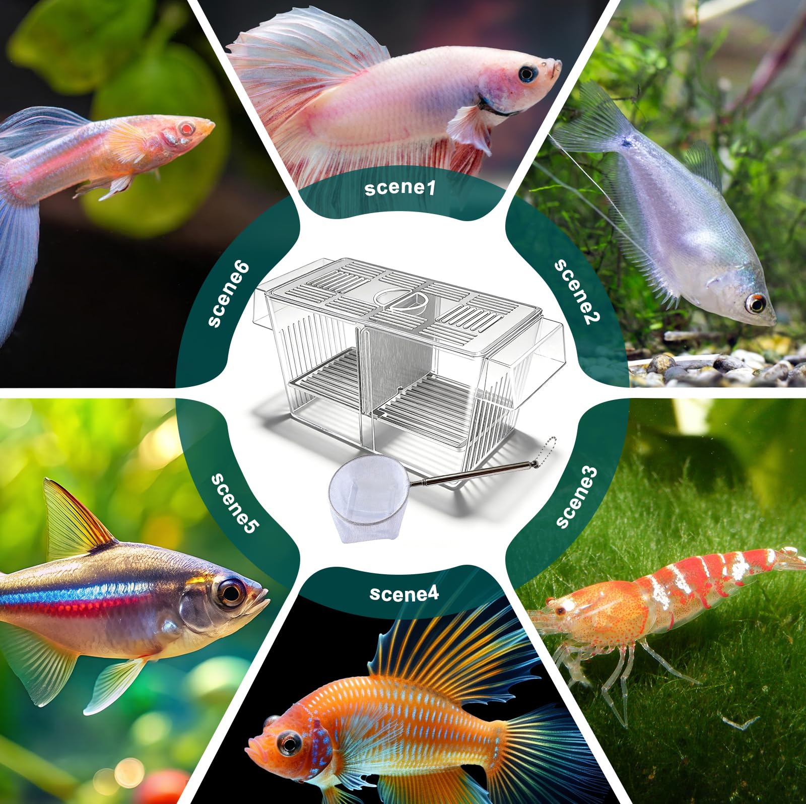 23 cm, bacino di allevamento per acquario, contenitore acrilico trasparente, per acquario, sistema di separazione rimovibile, pratica rete di raccolta, cassetta per la cura dei pesci