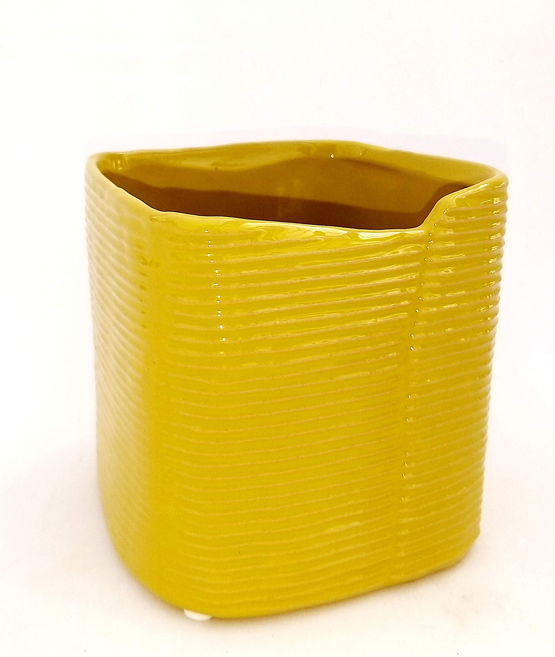 POWERS TO FLOWERS – Dracena Yellow Coast In Vaso Ceramica Bianca A Spirale – Pianta Vera - 4