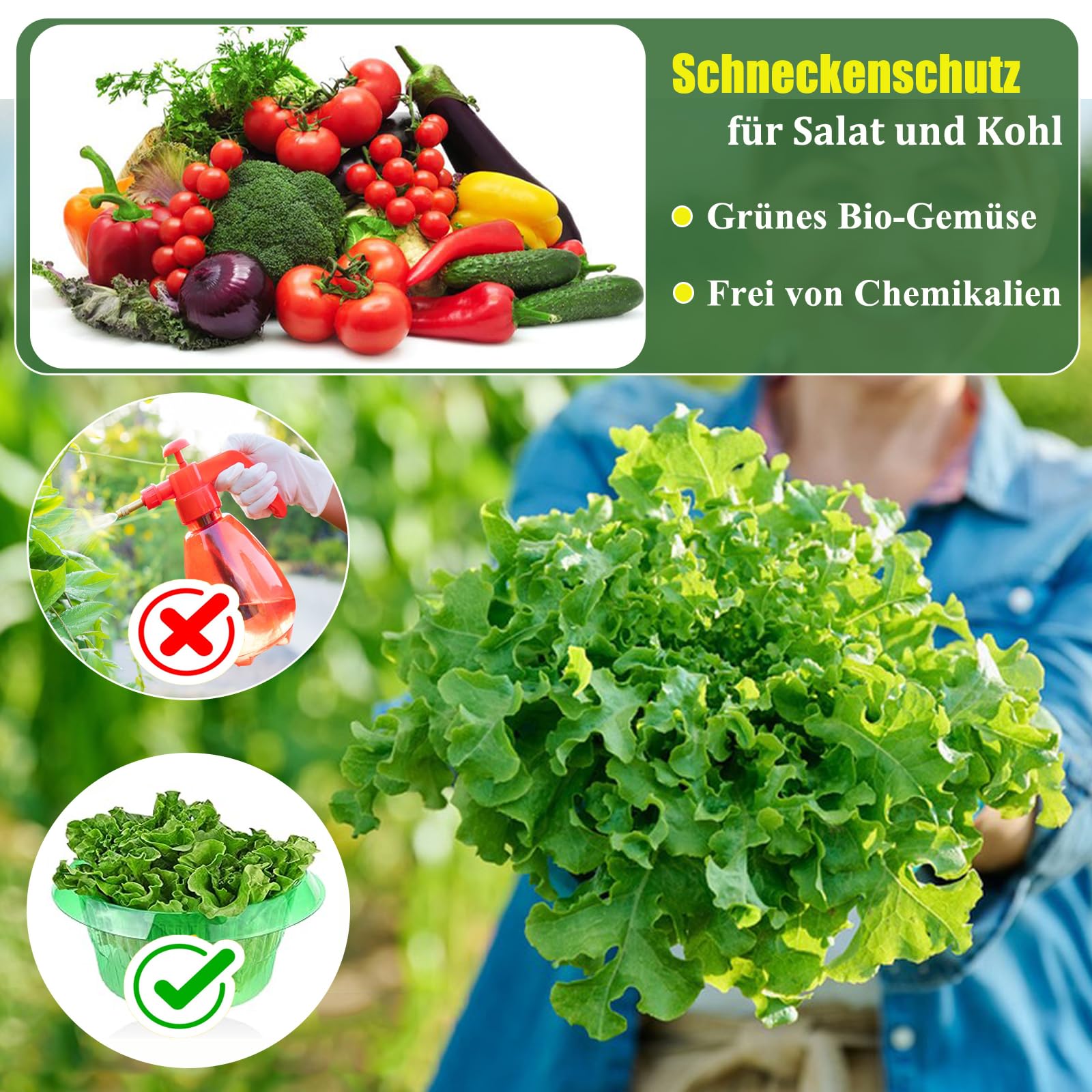 Collare Anti-lumache, Protezione Anti-lumache, Granuli Anti-lumache, Protegge le Piante Senza Agenti Chimici (12 PZ)