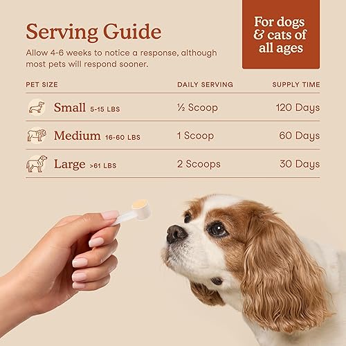 Fera Pets Probiotics for Dogs & Cats with Prebiotics — shown in a real home setting for scale