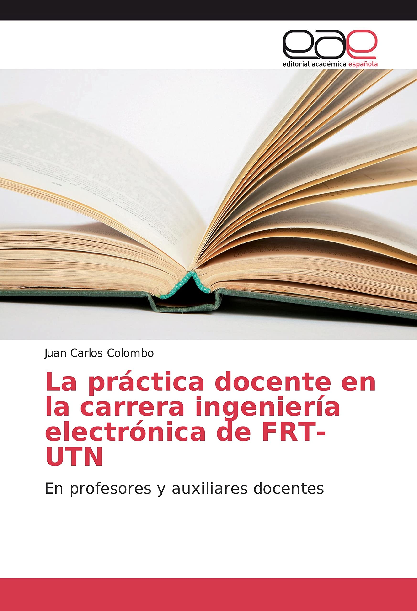 La práctica docente en la carrera ingeniería electrónica de FRT-UTN: En profesores y auxiliares docentes