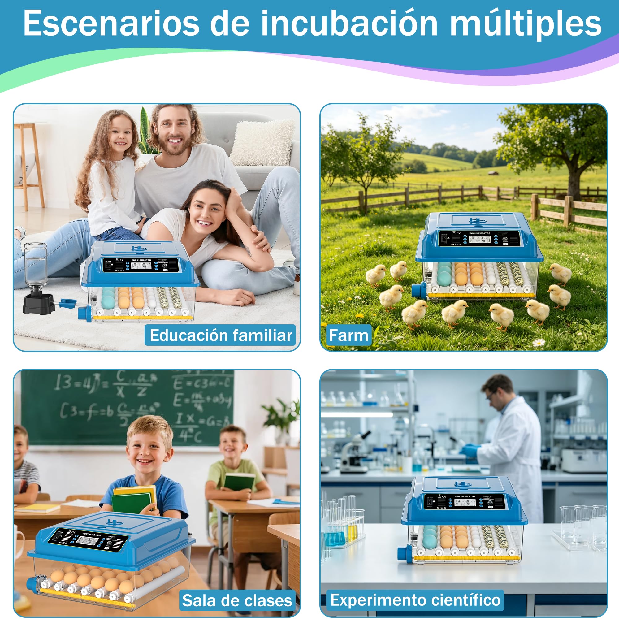 Incubadora de huevos para incubar pollos con control de temperatura y giro automático (azul, 36 huevos)