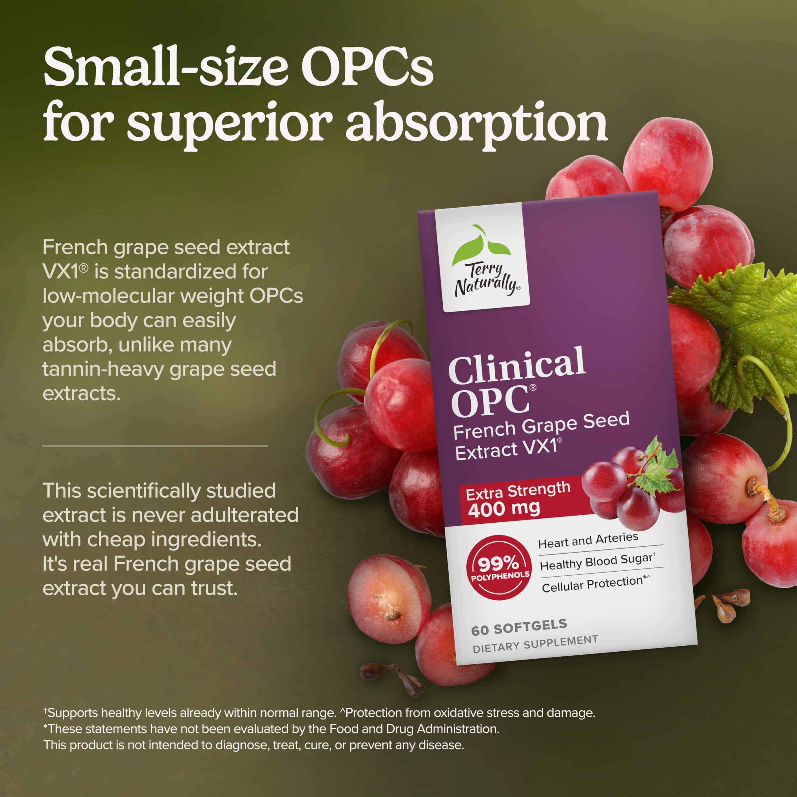 Terry Naturally Clinical OPC Antioxidant - Extra Strength 400 mg - Heart — Amazon image 3
