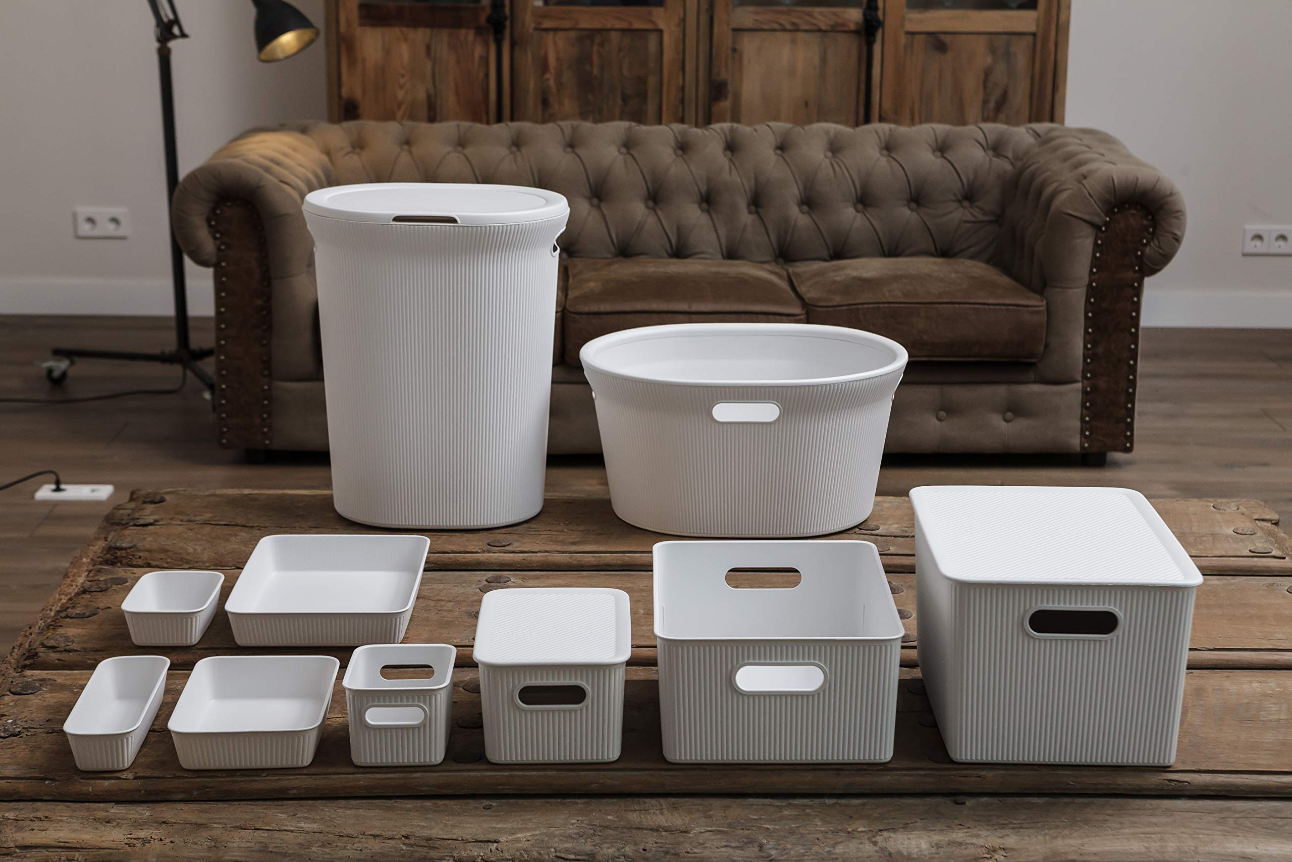 TATAY Cestino Portaoggetti Plastica 22 L Baobab | Scatola Organizzatrice | Manici Integrati | Design Compatto e Versatile | Plastica Riciclata Senza BPA | 29,4 x 38,5 x 23 cm, Bianco