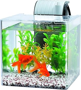 1200水槽 セット 中古1200水槽セット×2種♪ | 北関東の熱帯魚店『アクアショップ