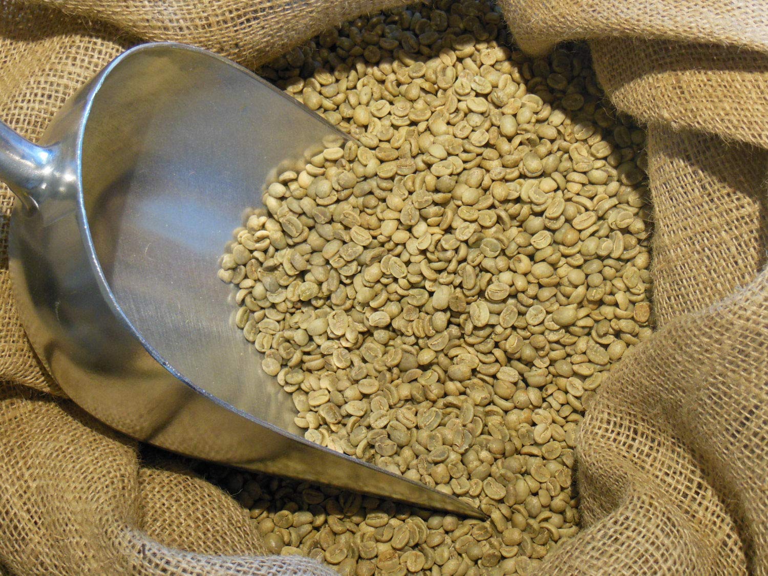 Colombia Excelso Raw Unroasted Green Coffee Beans Origin Specialty Arabica Home Roasting DIY Fast (15)